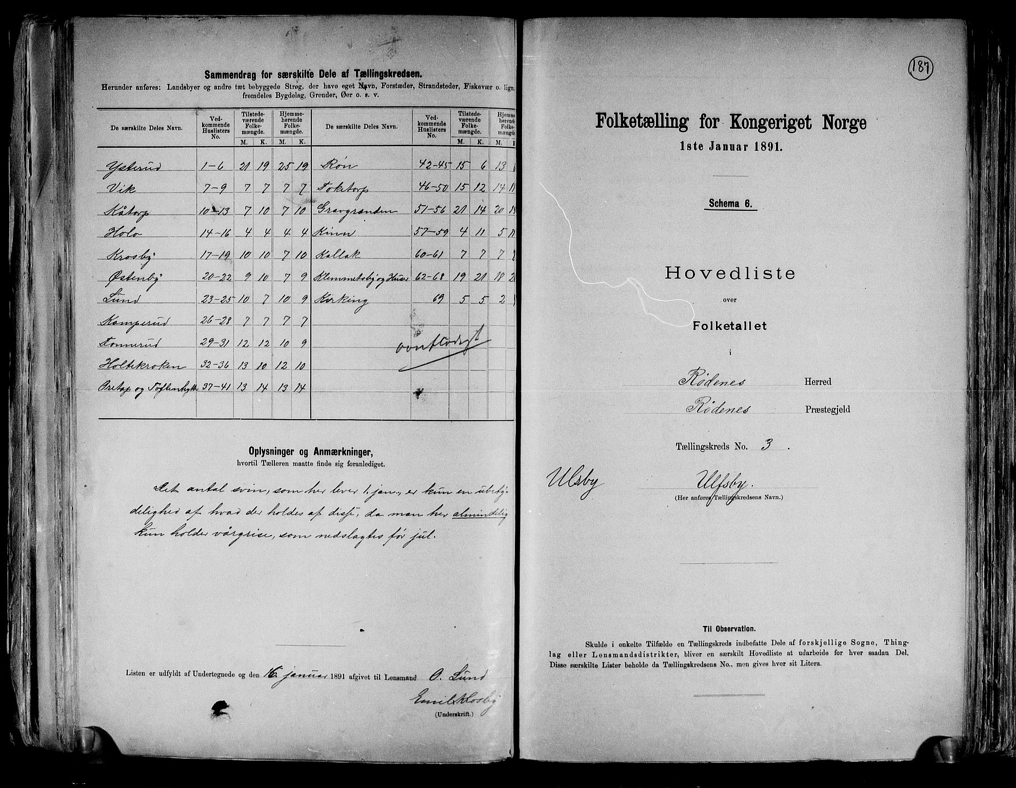 RA, 1891 census for 0120 Rødenes, 1891, p. 8