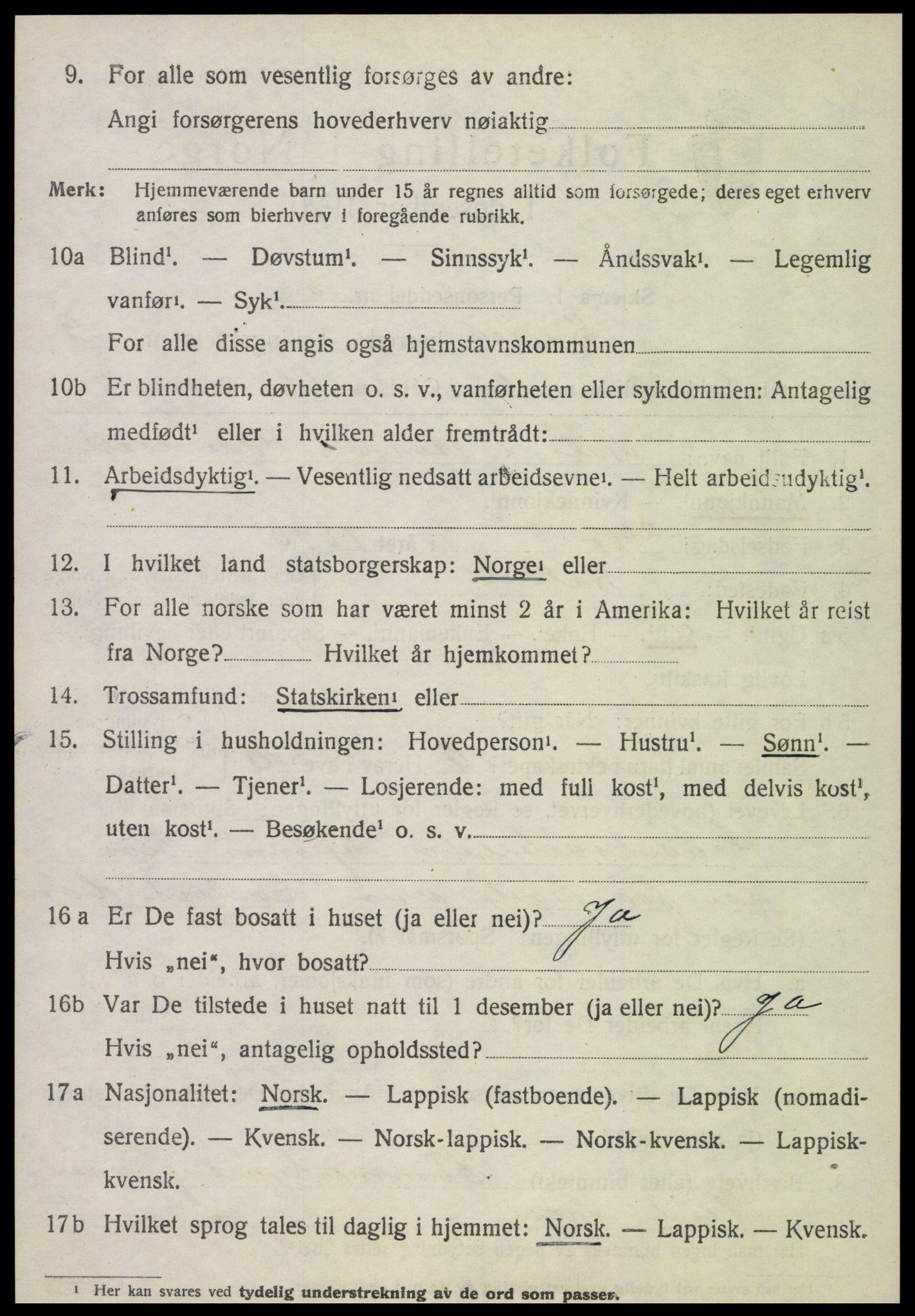 SAT, 1920 census for Selbu, 1920, p. 9877