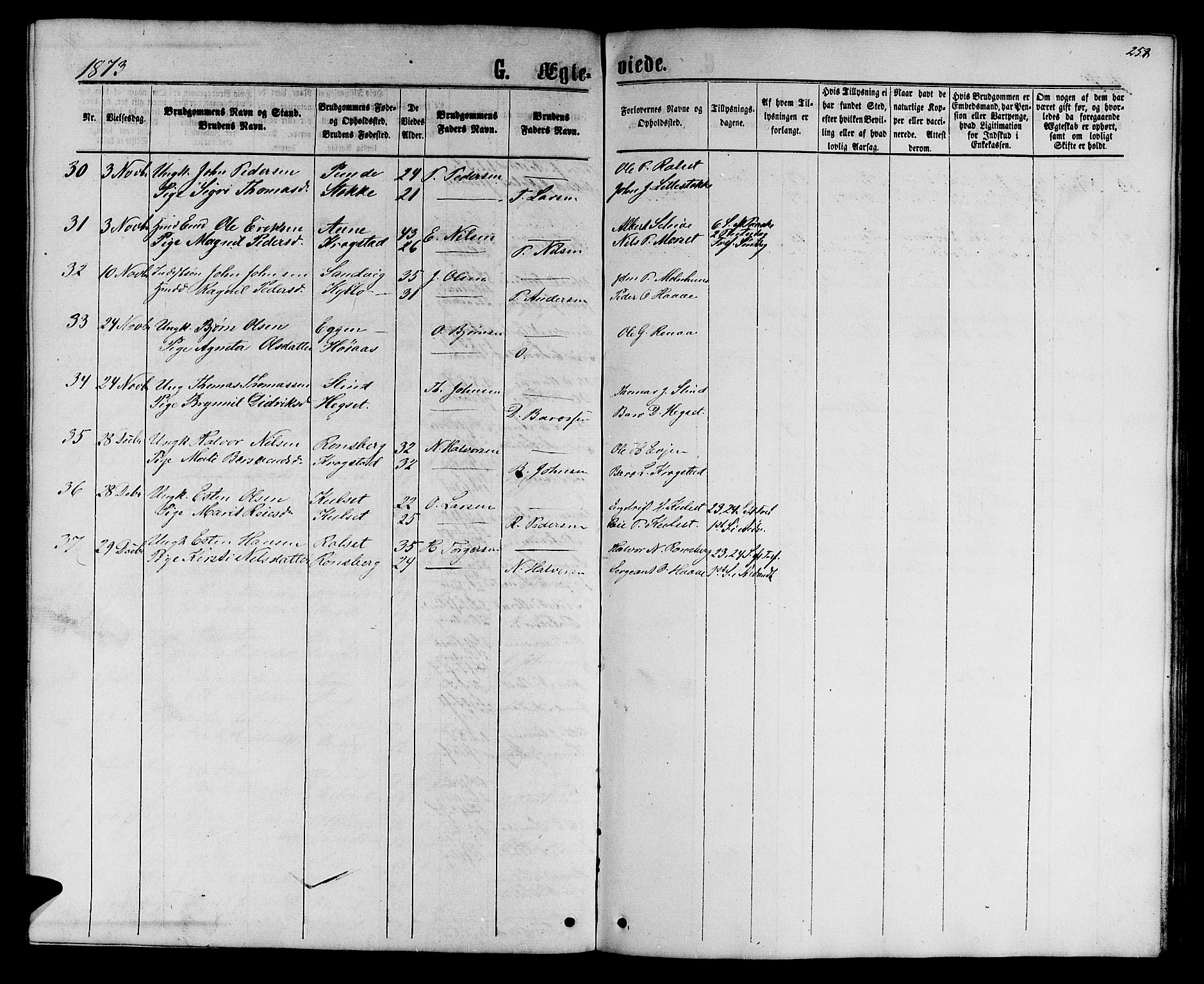 Ministerialprotokoller, klokkerbøker og fødselsregistre - Sør-Trøndelag, AV/SAT-A-1456/695/L1156: Parish register (copy) no. 695C07, 1869-1888, p. 258