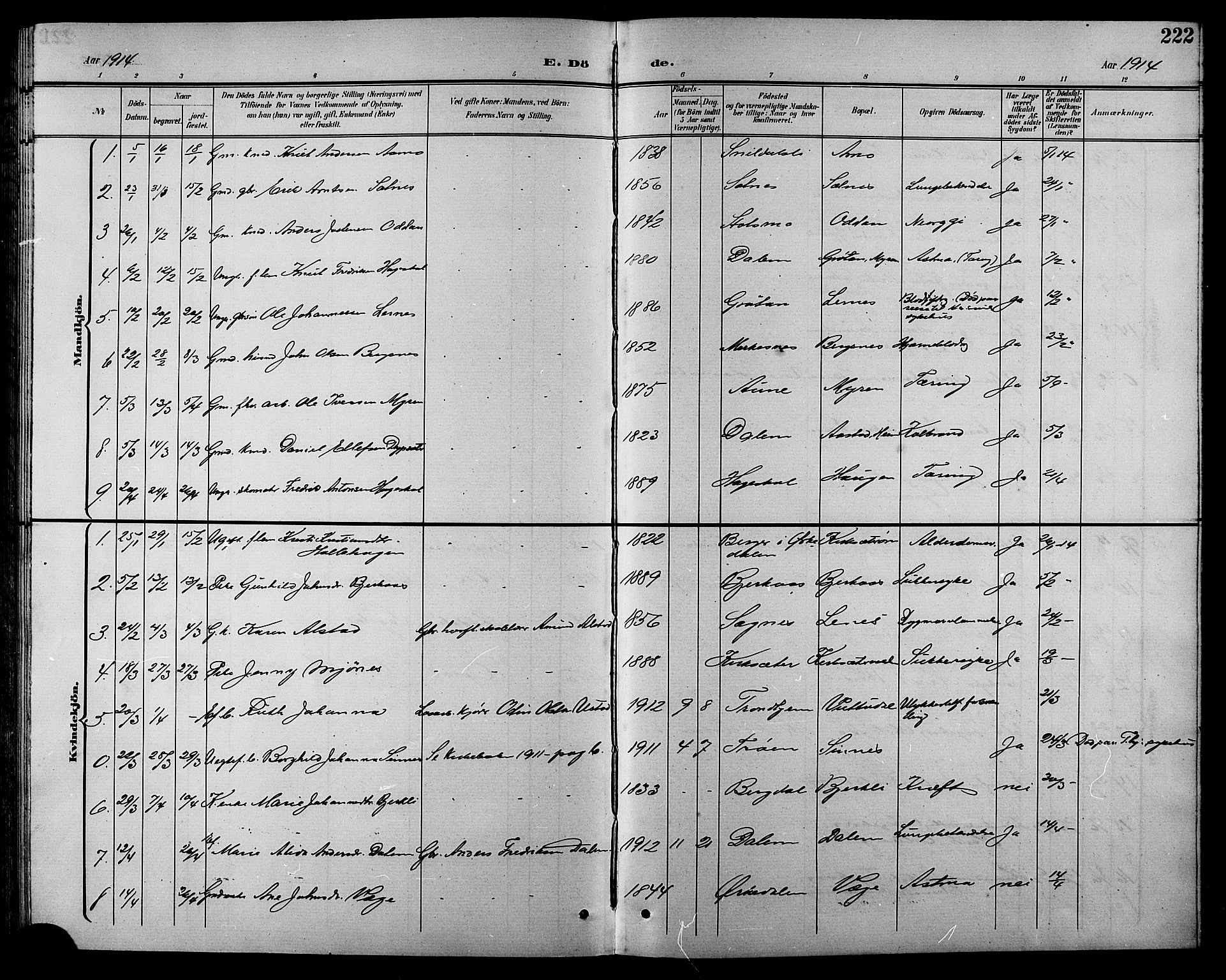 Ministerialprotokoller, klokkerbøker og fødselsregistre - Sør-Trøndelag, SAT/A-1456/630/L0505: Parish register (copy) no. 630C03, 1899-1914, p. 222
