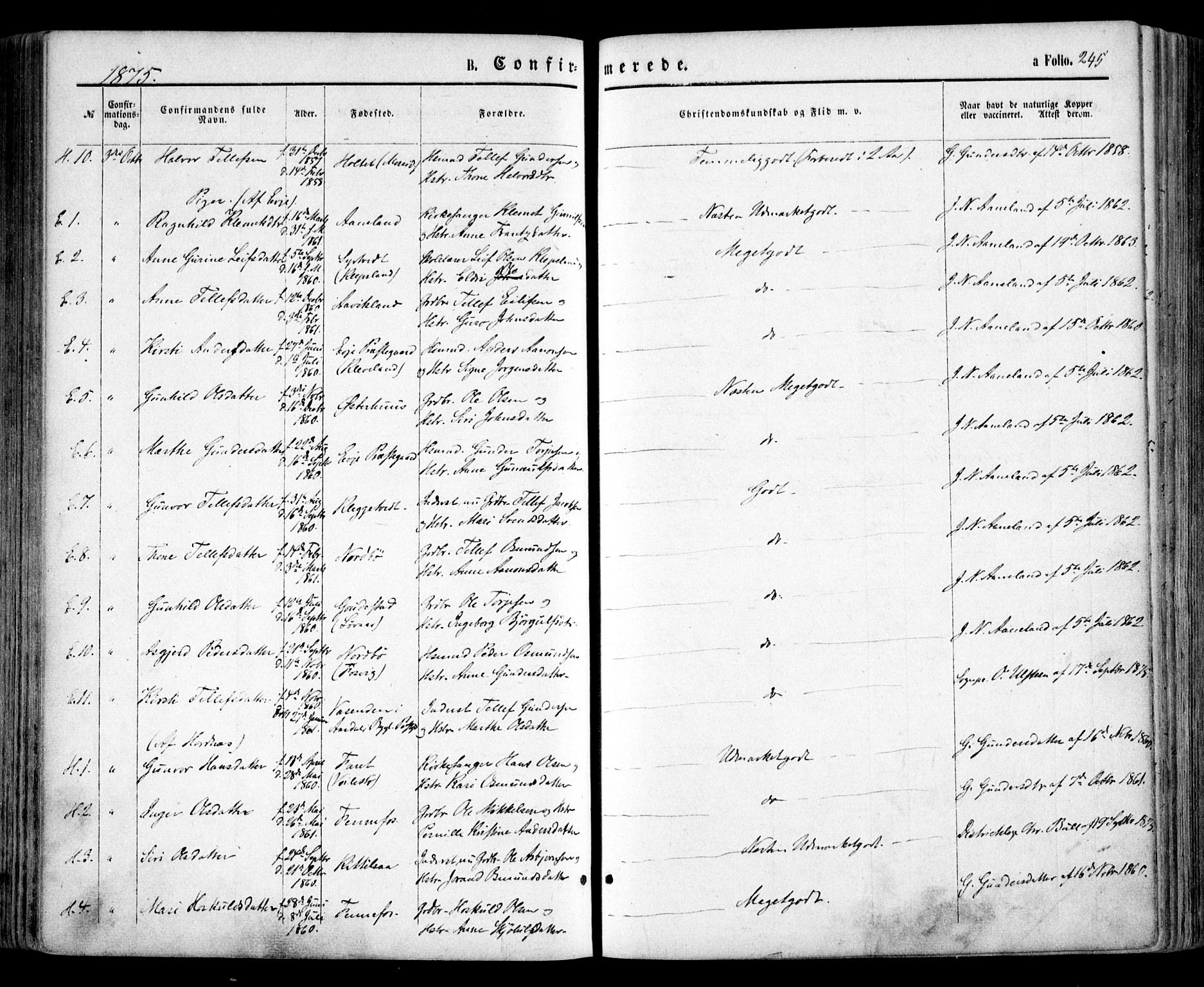 Evje sokneprestkontor, AV/SAK-1111-0008/F/Fa/Faa/L0006: Parish register (official) no. A 6, 1866-1884, p. 245