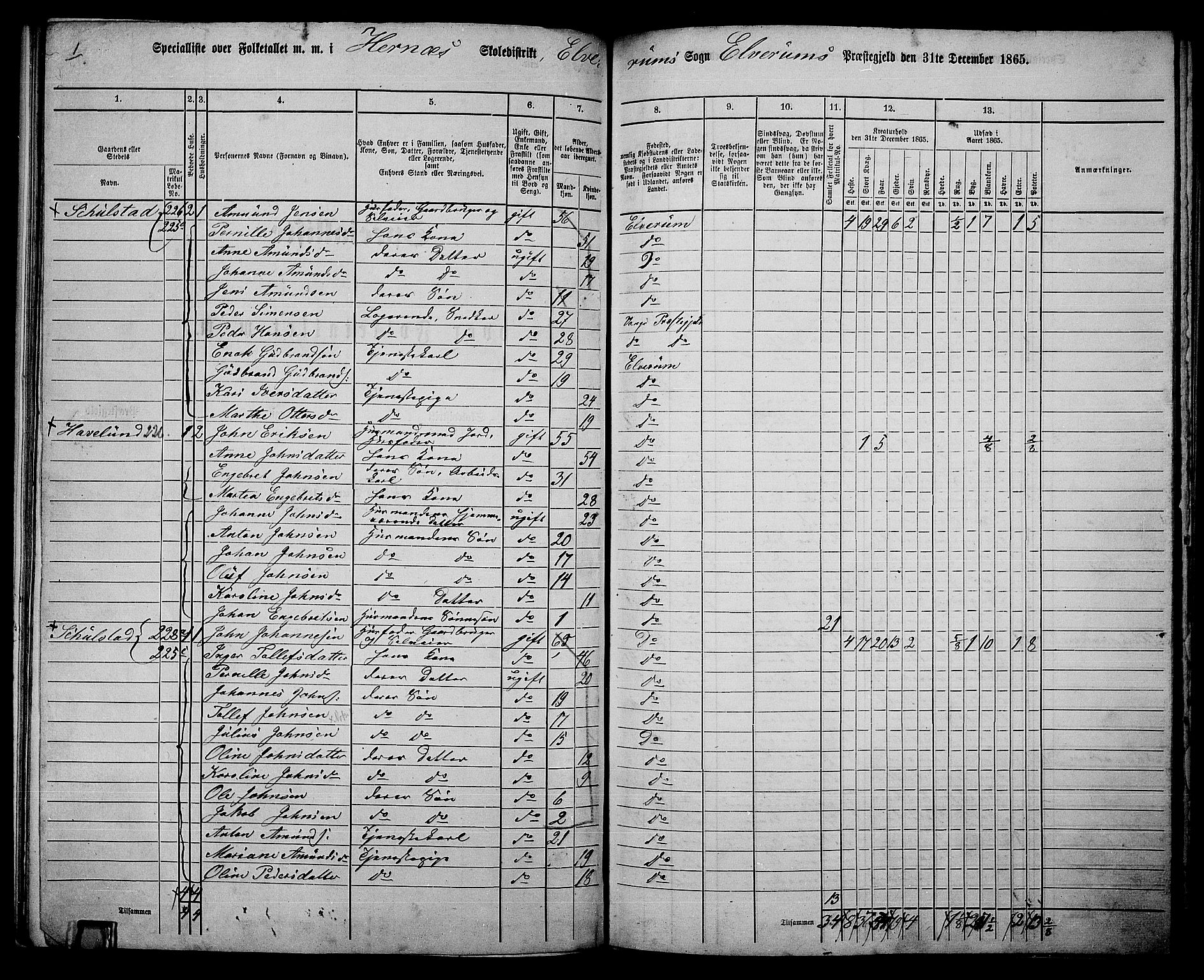 RA, 1865 census for Elverum, 1865, p. 154