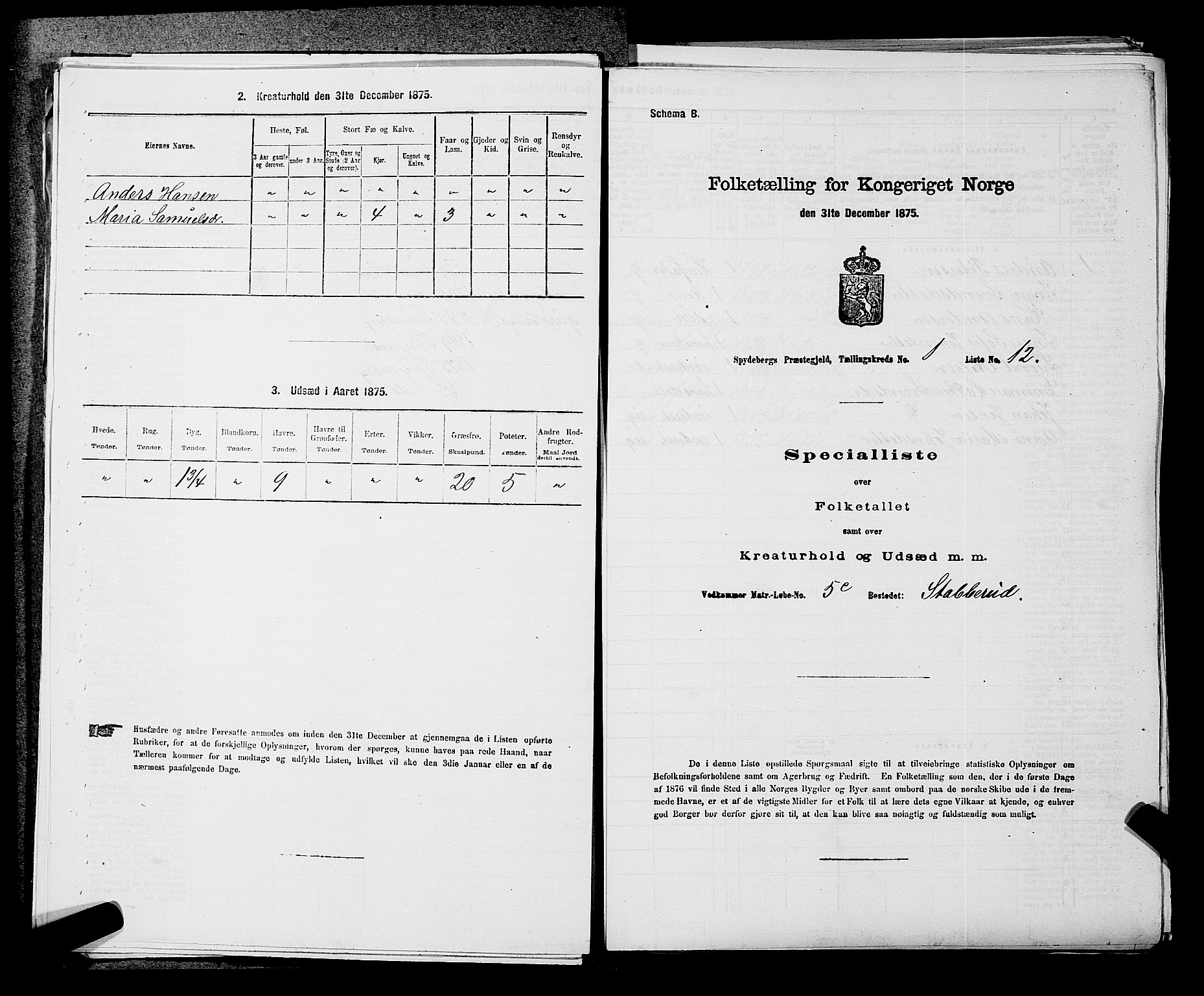 RA, 1875 census for 0123P Spydeberg, 1875, p. 63