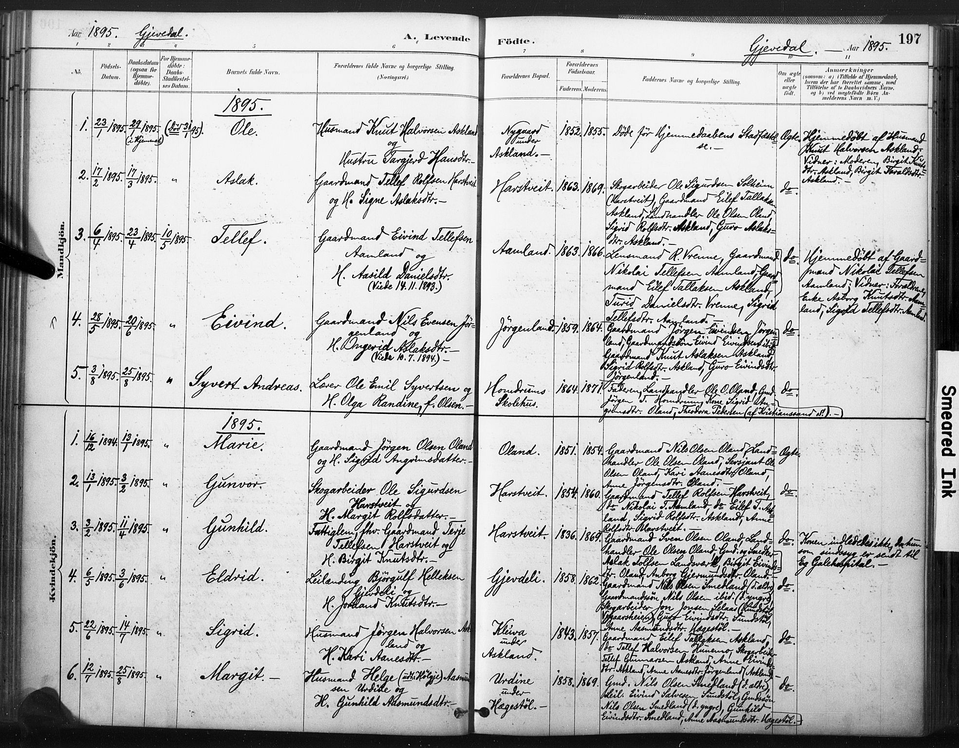 Åmli sokneprestkontor, SAK/1111-0050/F/Fa/Fac/L0010: Parish register (official) no. A 10 /2, 1885-1899, p. 197