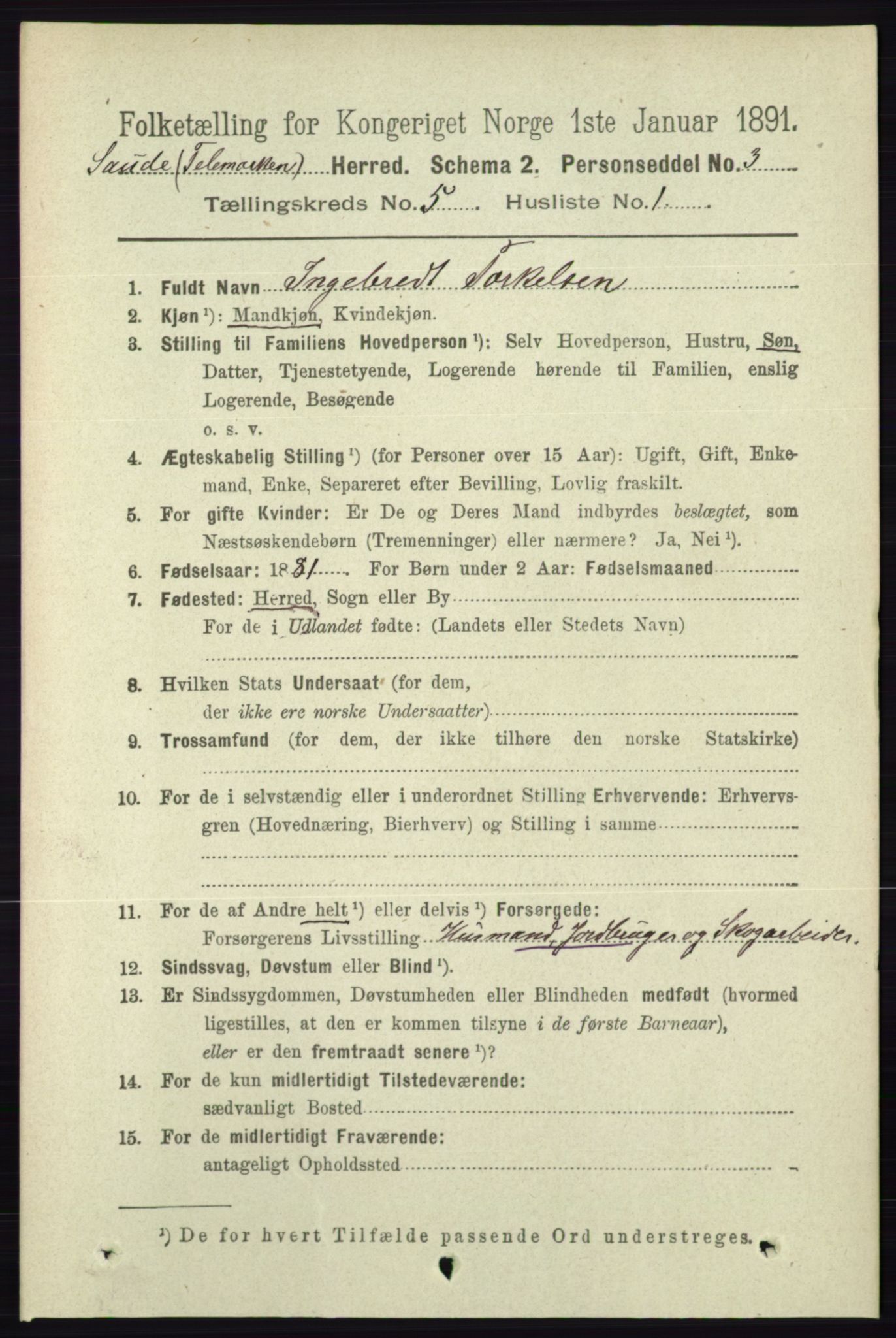 RA, 1891 census for 0822 Sauherad, 1891, p. 1427