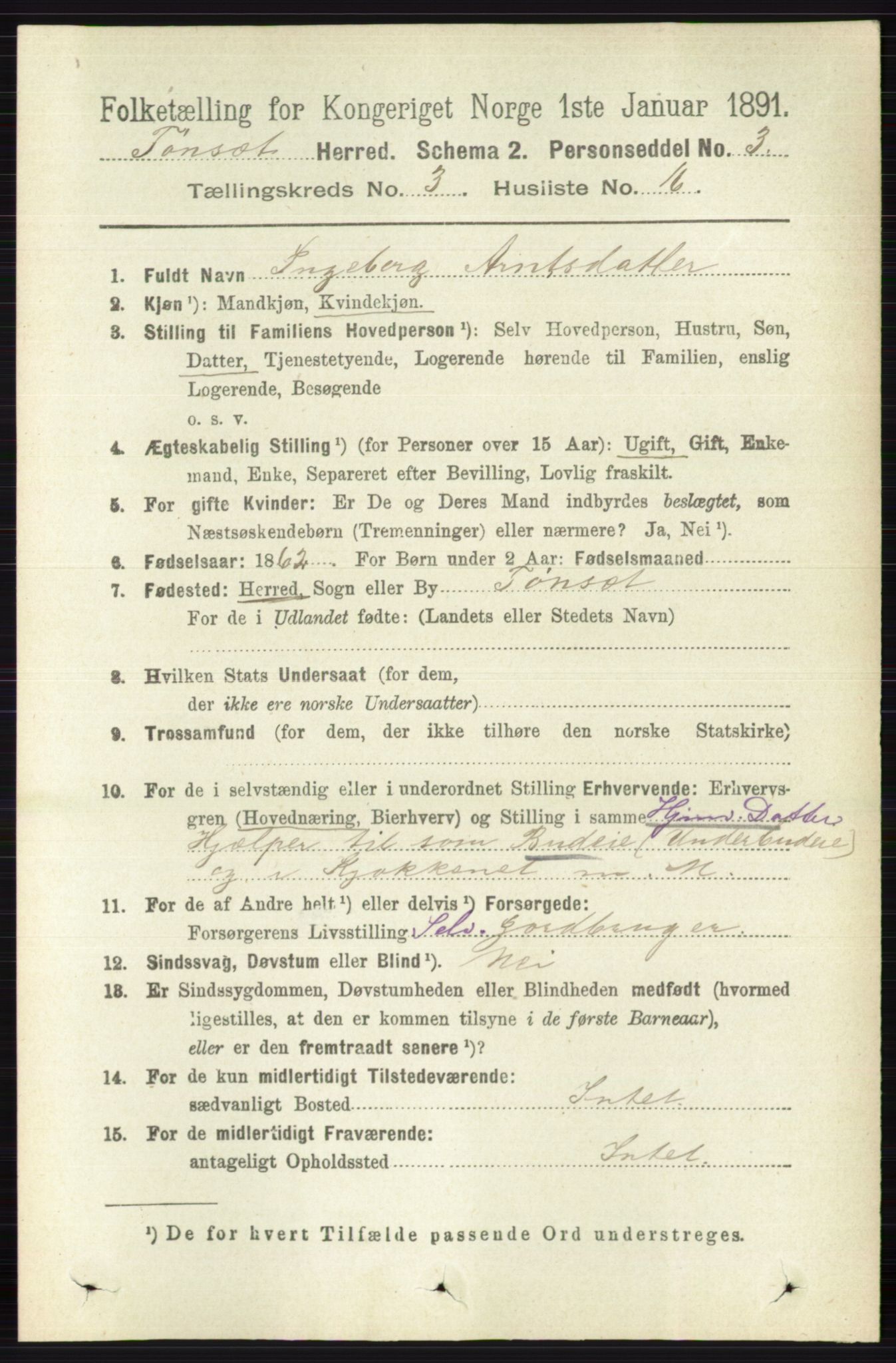 RA, 1891 census for 0437 Tynset, 1891, p. 644