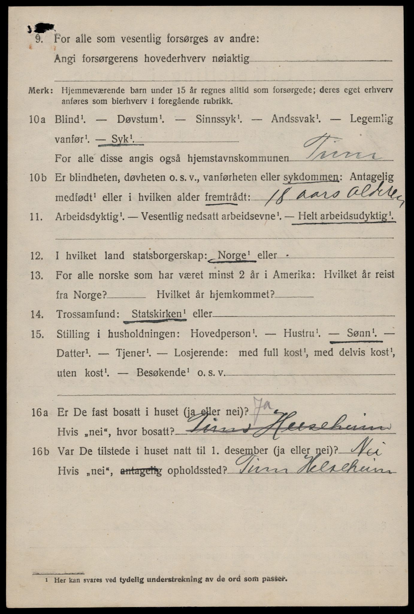 SAKO, 1920 census for Tinn, 1920, p. 15065