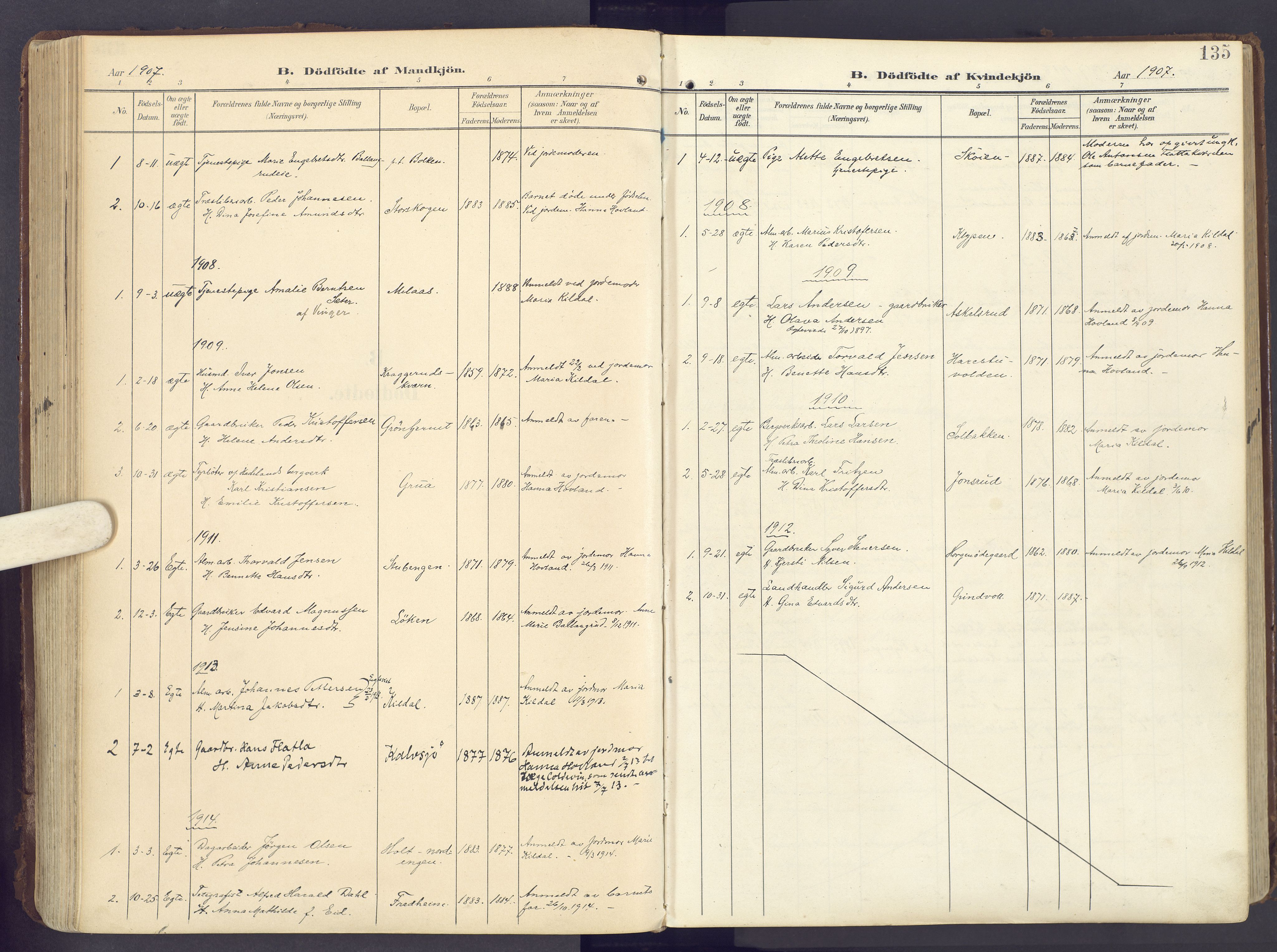 Lunner prestekontor, SAH/PREST-118/H/Ha/Haa/L0001: Parish register (official) no. 1, 1907-1922, p. 135
