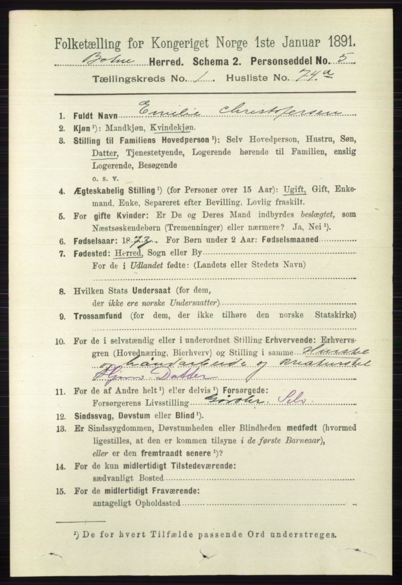 RA, 1891 census for 0715 Botne, 1891, p. 576