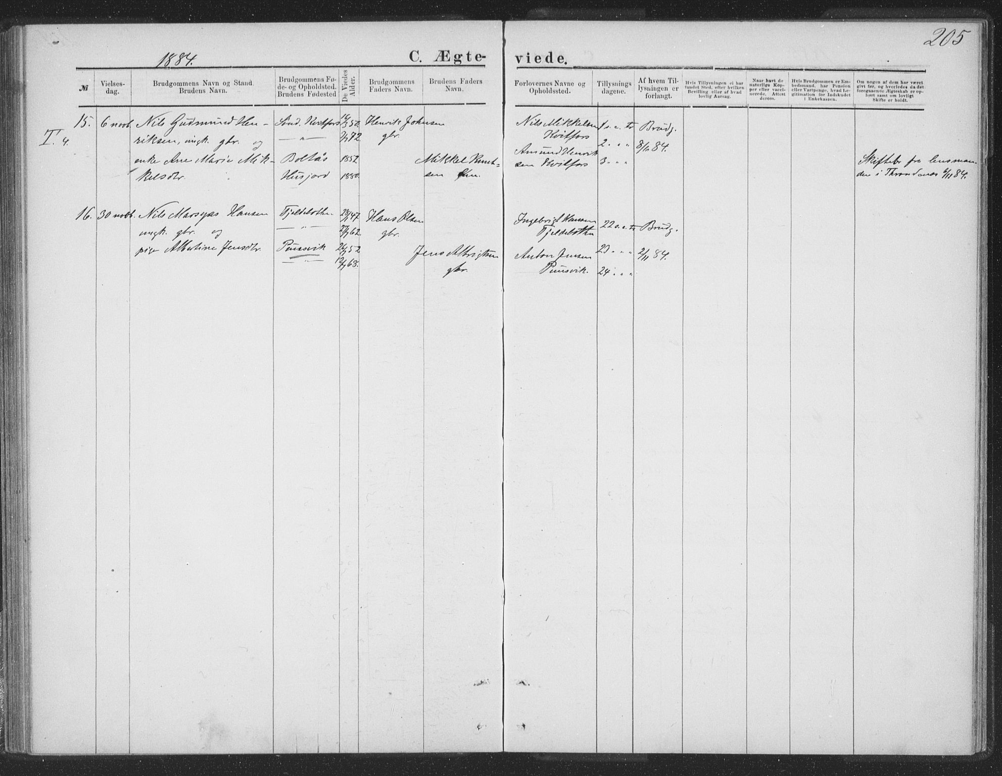 Ministerialprotokoller, klokkerbøker og fødselsregistre - Nordland, AV/SAT-A-1459/863/L0913: Parish register (copy) no. 863C03, 1877-1885, p. 205