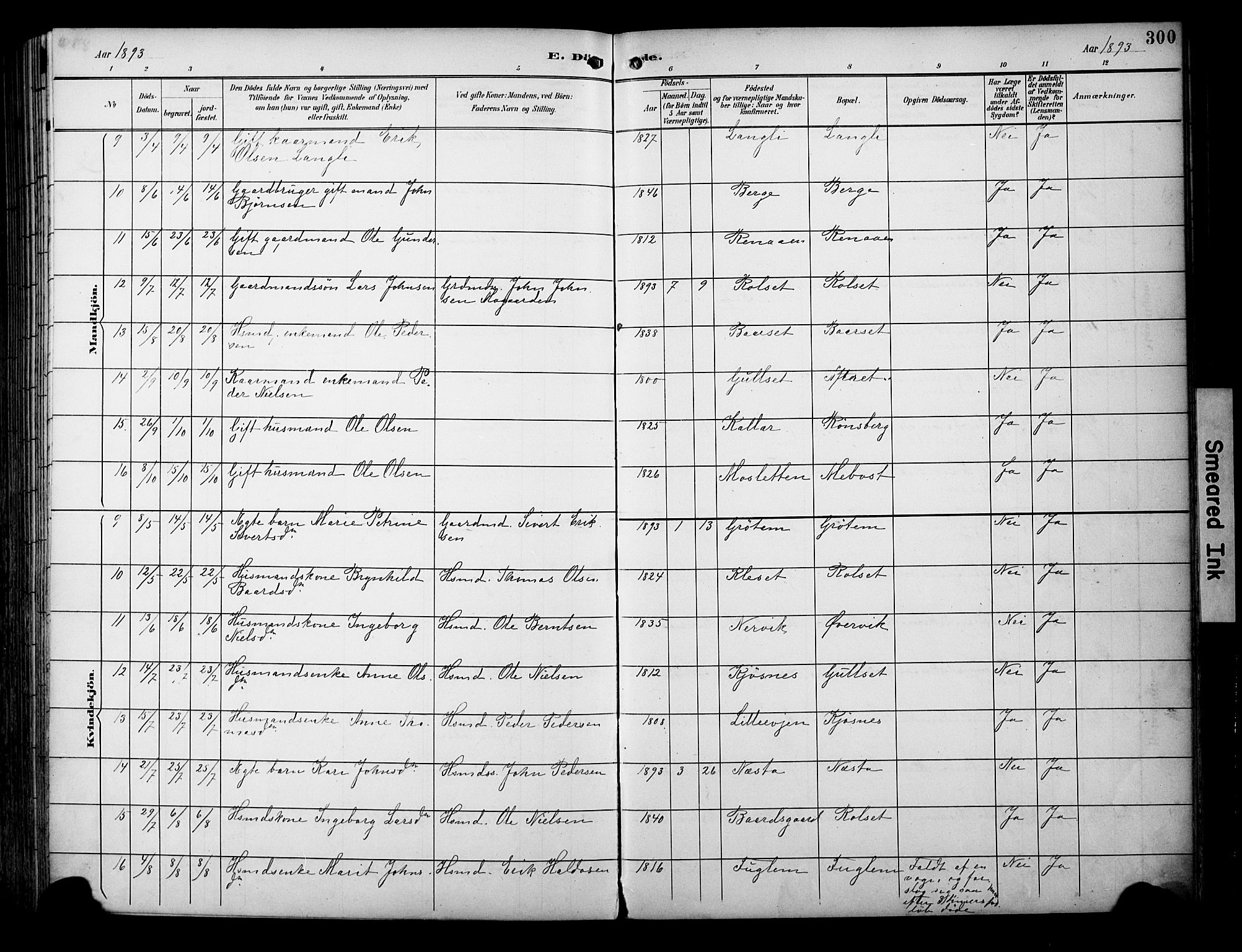 Ministerialprotokoller, klokkerbøker og fødselsregistre - Sør-Trøndelag, AV/SAT-A-1456/695/L1149: Parish register (official) no. 695A09, 1891-1902, p. 300