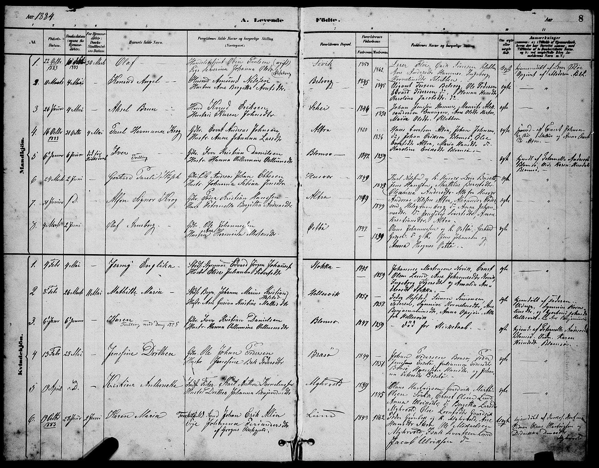 Ministerialprotokoller, klokkerbøker og fødselsregistre - Nordland, AV/SAT-A-1459/830/L0462: Parish register (copy) no. 830C04, 1882-1895, p. 8