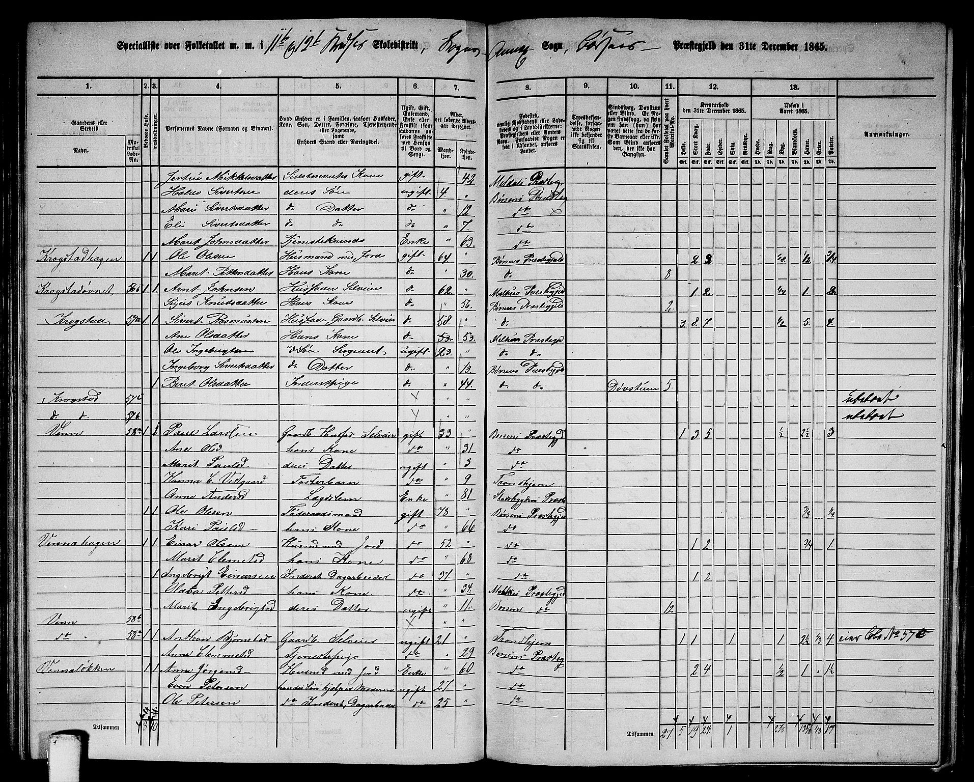 RA, 1865 census for Børsa, 1865, p. 125