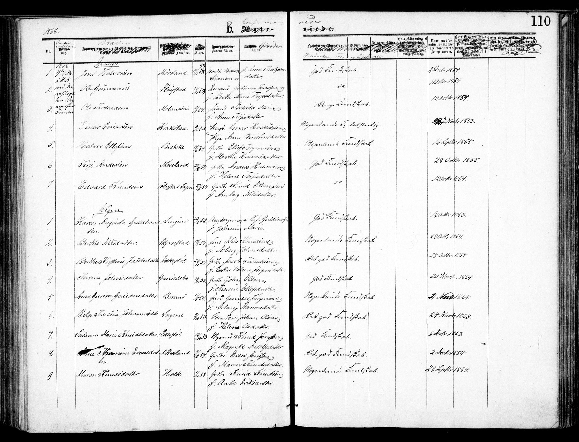 Austre Moland sokneprestkontor, SAK/1111-0001/F/Fa/Faa/L0008: Parish register (official) no. A 8, 1858-1868, p. 110