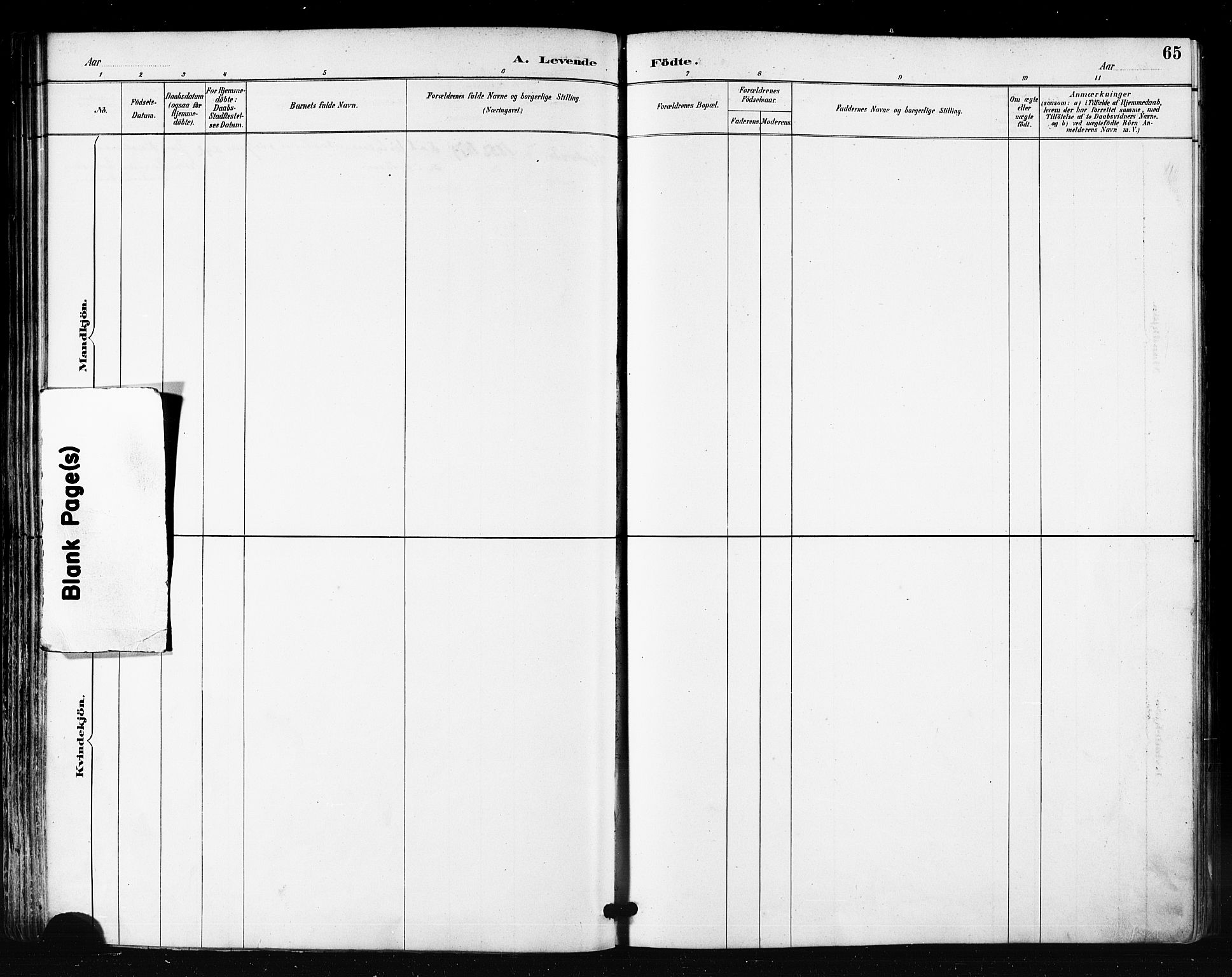 Måsøy sokneprestkontor, AV/SATØ-S-1348/H/Ha/L0007kirke: Parish register (official) no. 7, 1887-1899, p. 65