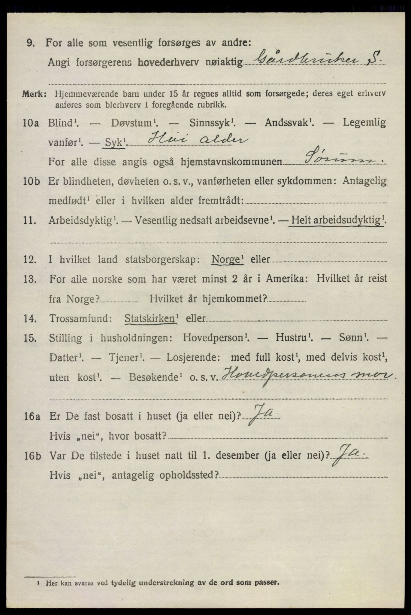 SAO, 1920 census for Sørum, 1920, p. 2202