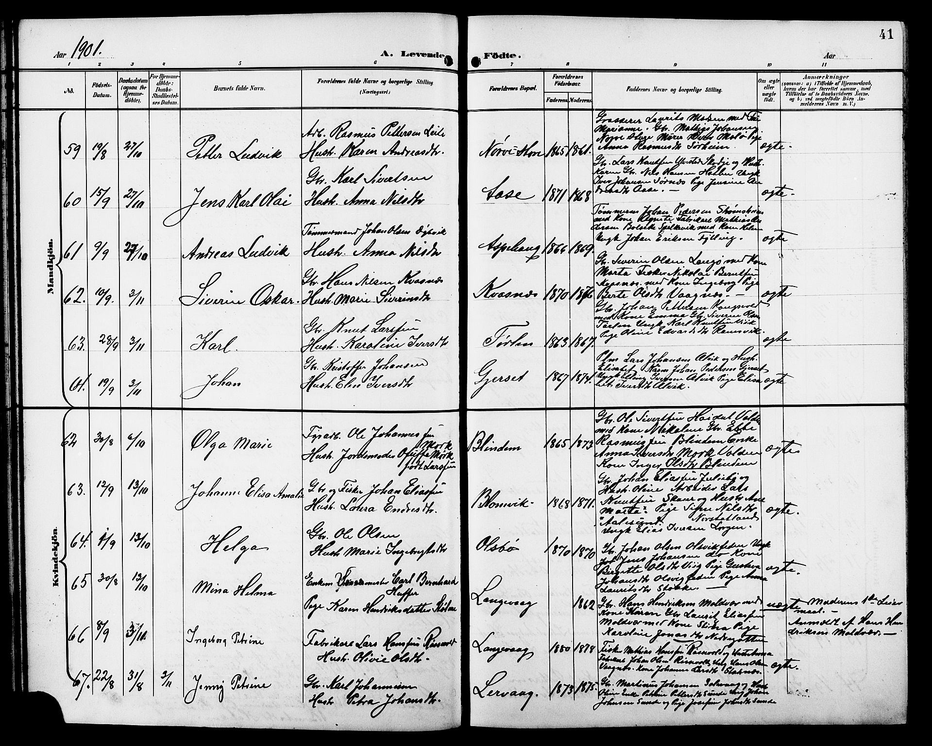 Ministerialprotokoller, klokkerbøker og fødselsregistre - Møre og Romsdal, AV/SAT-A-1454/528/L0432: Parish register (copy) no. 528C13, 1898-1918, p. 41