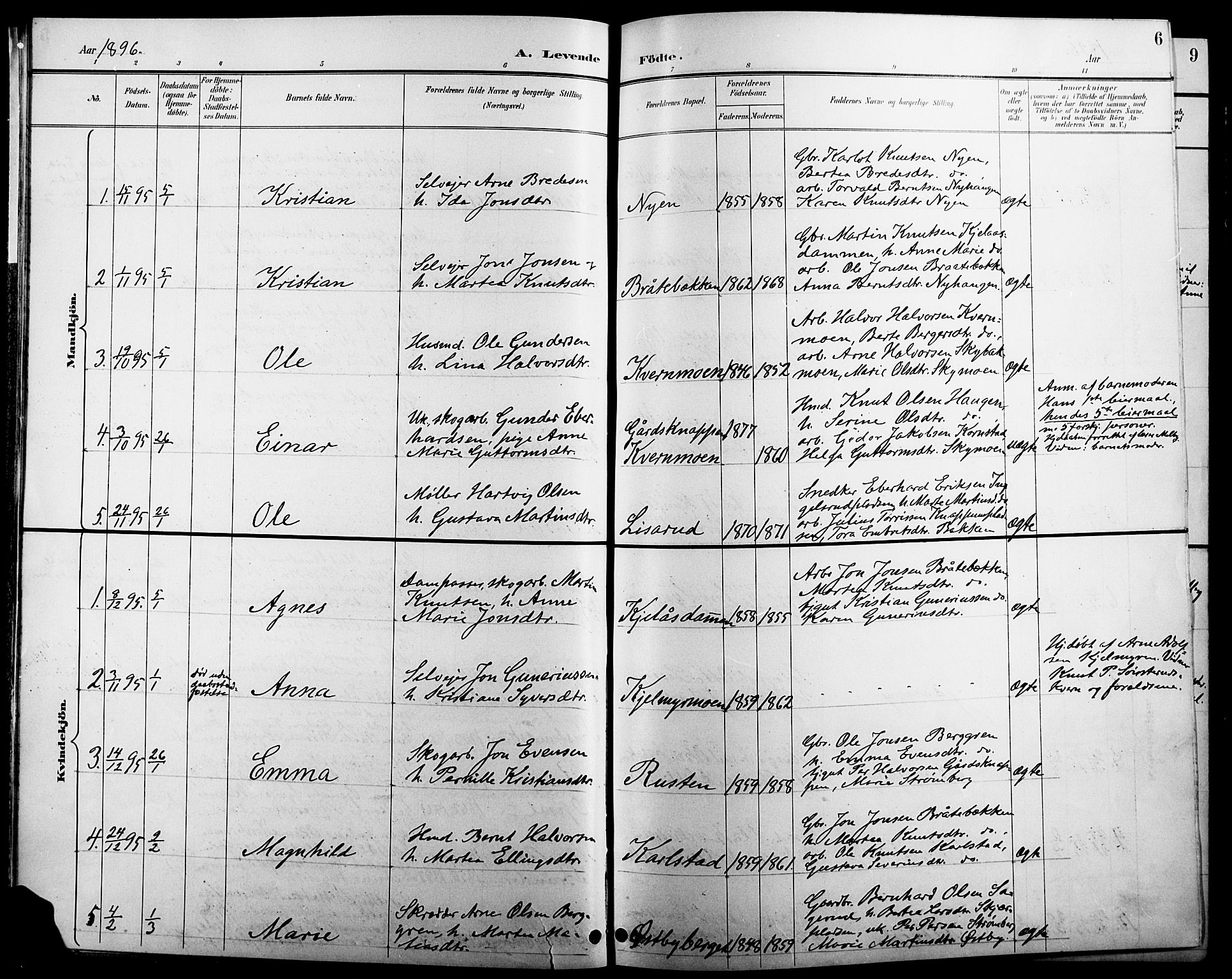 Åsnes prestekontor, AV/SAH-PREST-042/H/Ha/Hab/L0005: Parish register (copy) no. 5, 1895-1920, p. 6