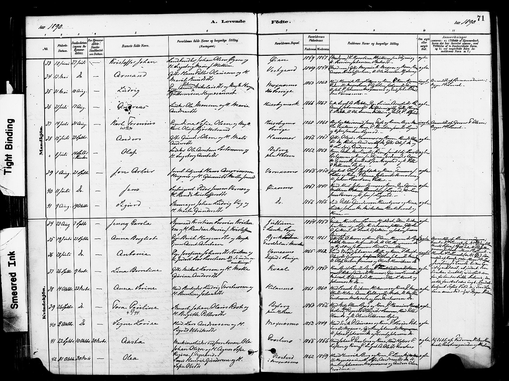 Ministerialprotokoller, klokkerbøker og fødselsregistre - Nord-Trøndelag, AV/SAT-A-1458/709/L0077: Parish register (official) no. 709A17, 1880-1895, p. 71