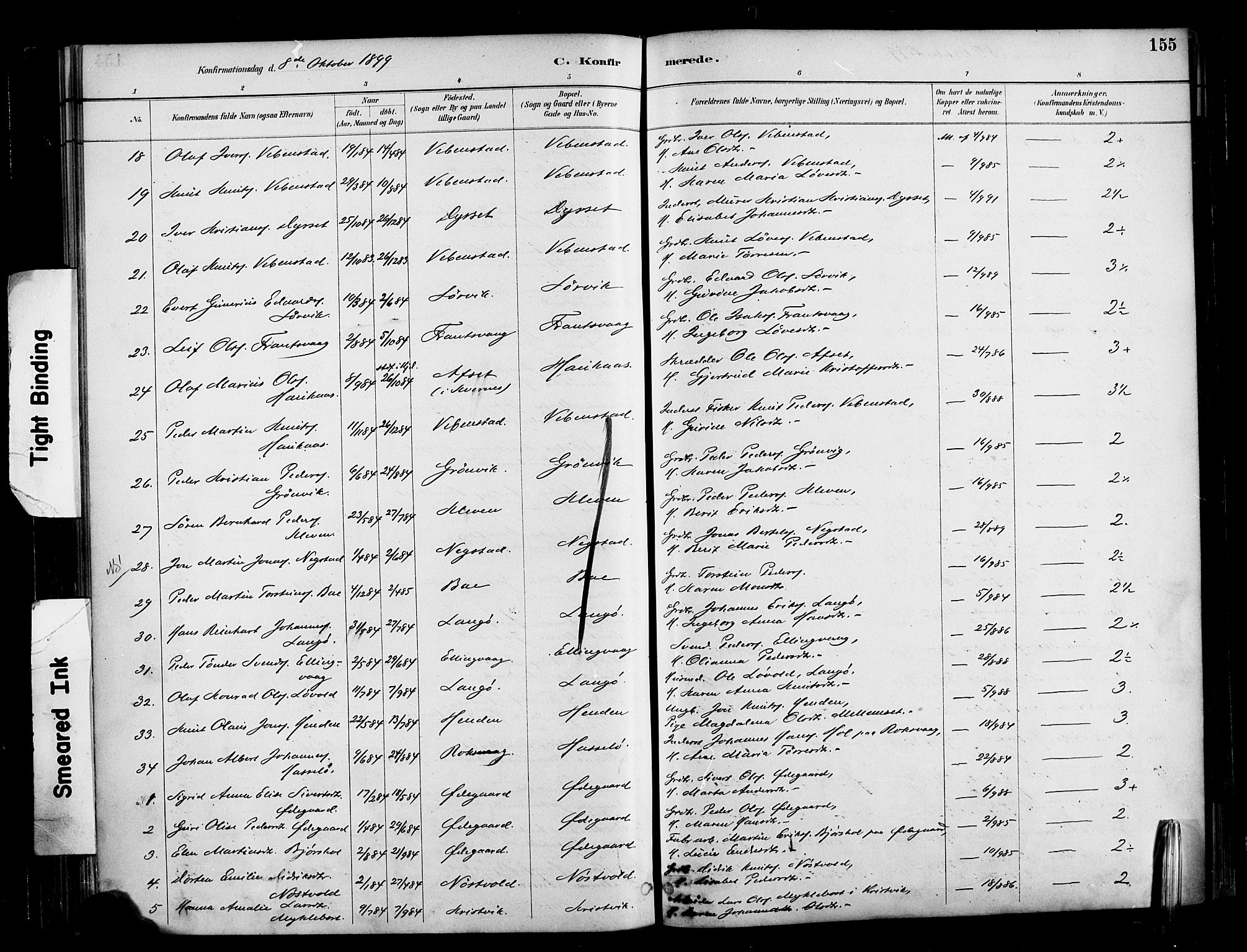 Ministerialprotokoller, klokkerbøker og fødselsregistre - Møre og Romsdal, AV/SAT-A-1454/569/L0819: Parish register (official) no. 569A05, 1885-1899, p. 155