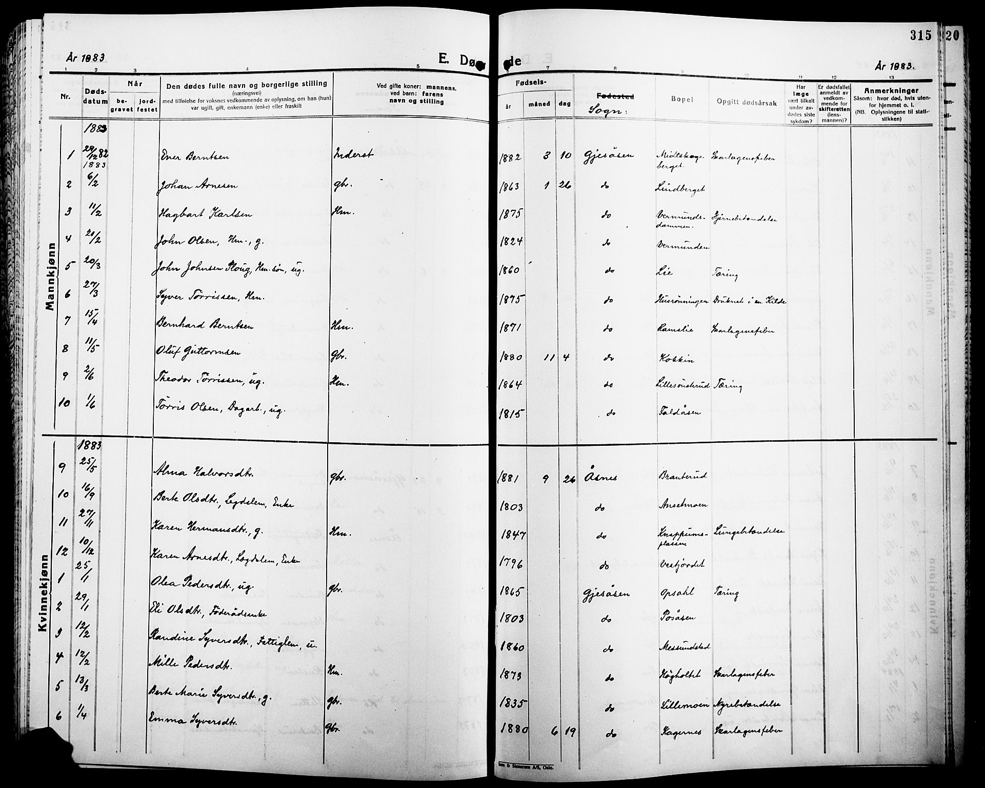 Åsnes prestekontor, AV/SAH-PREST-042/H/Ha/Haa/L0000B: Parish register (official), 1870-1889, p. 315