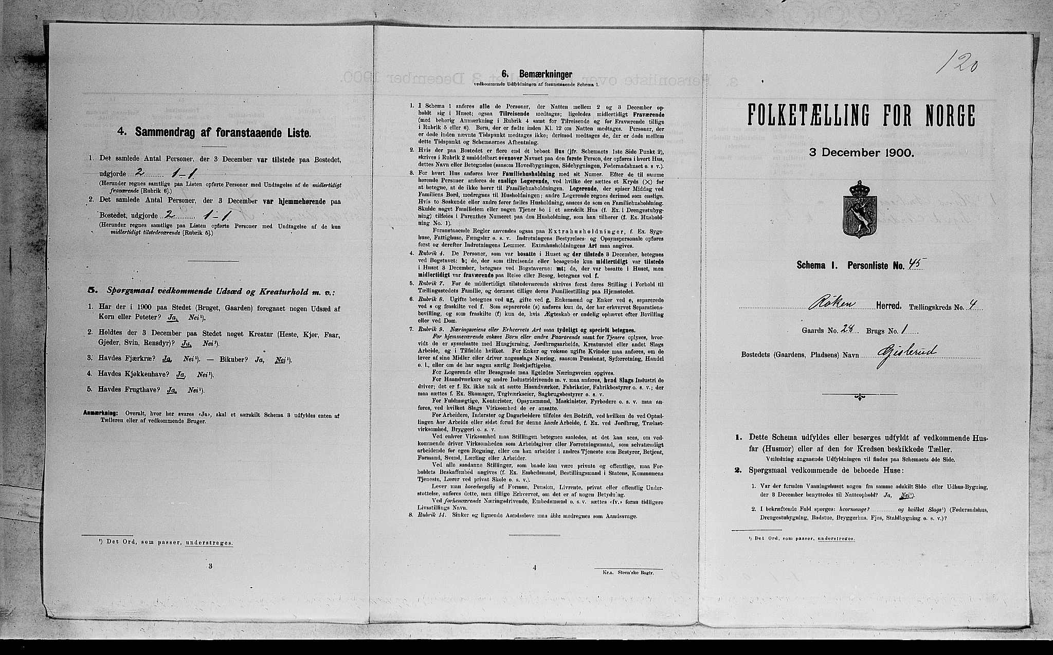 RA, 1900 census for Røyken, 1900, p. 603