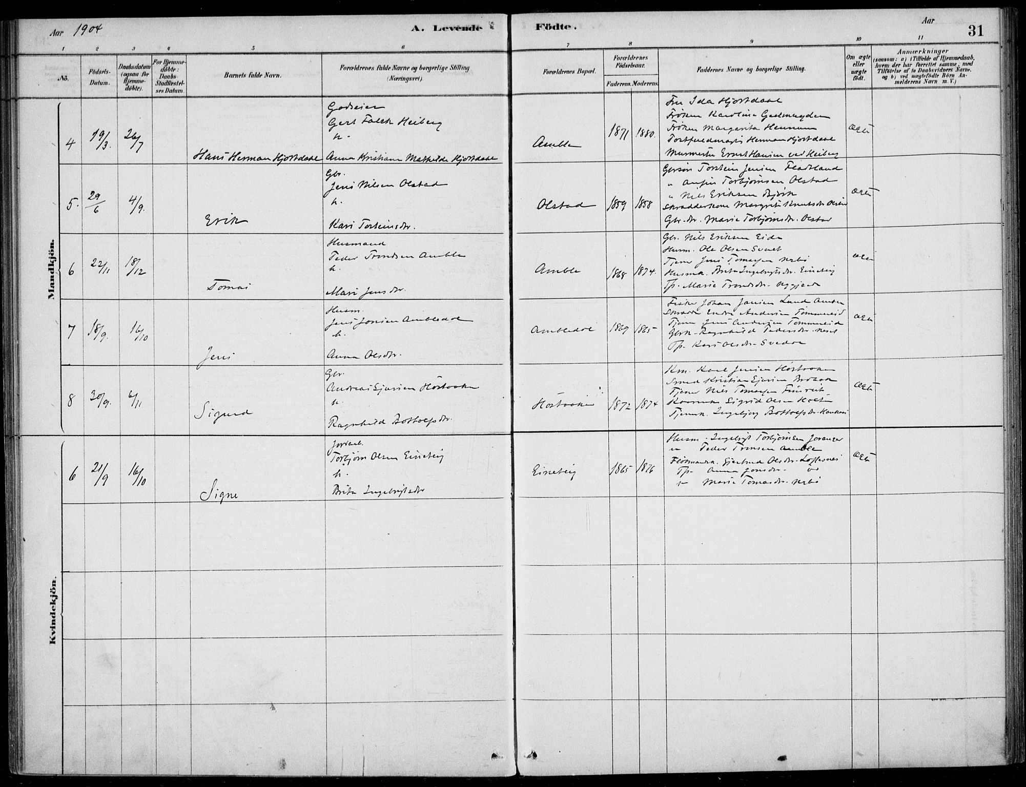 Sogndal sokneprestembete, AV/SAB-A-81301/H/Haa/Haad/L0001: Parish register (official) no. D  1, 1878-1907, p. 31