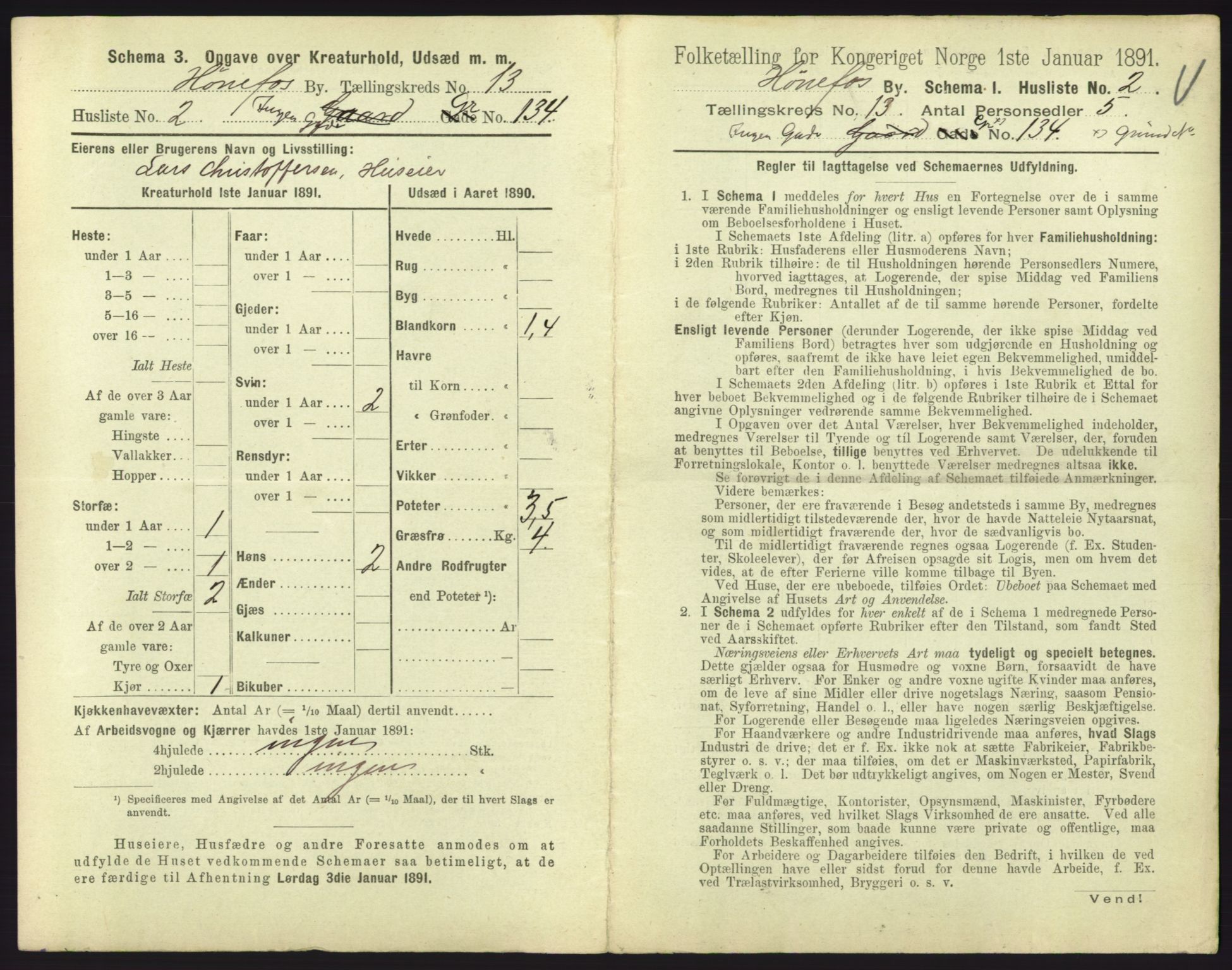 RA, 1891 census for 0601 Hønefoss, 1891, p. 291