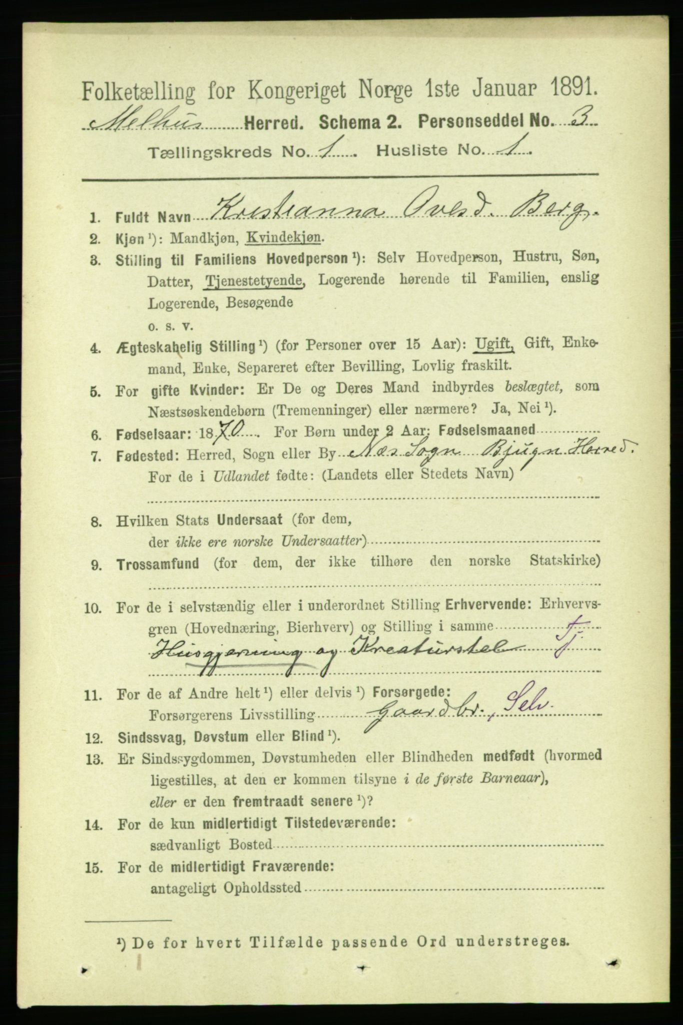 RA, 1891 census for 1653 Melhus, 1891, p. 122