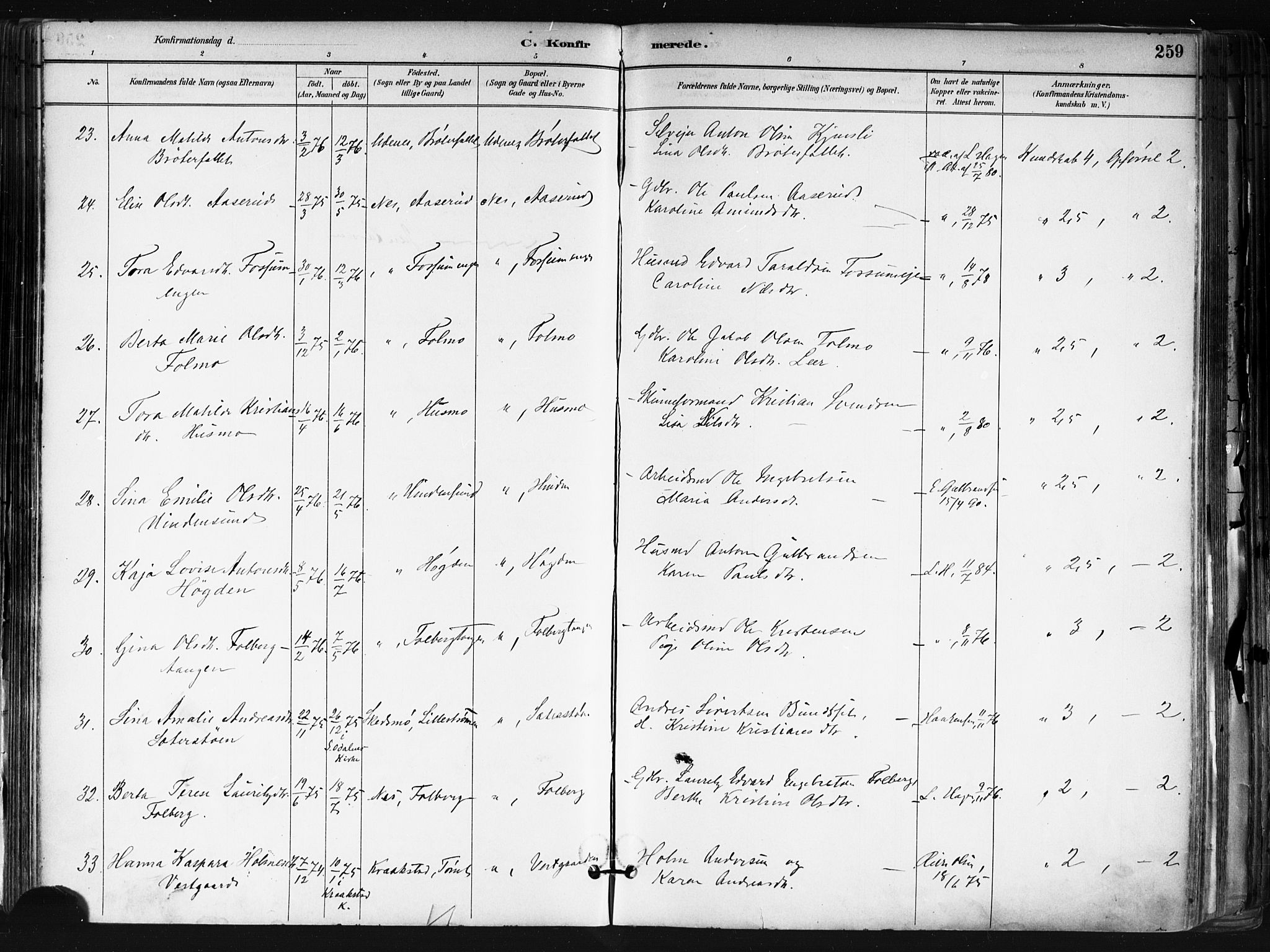 Nes prestekontor Kirkebøker, SAO/A-10410/F/Fa/L0010: Parish register (official) no. I 10, 1883-1898, p. 259