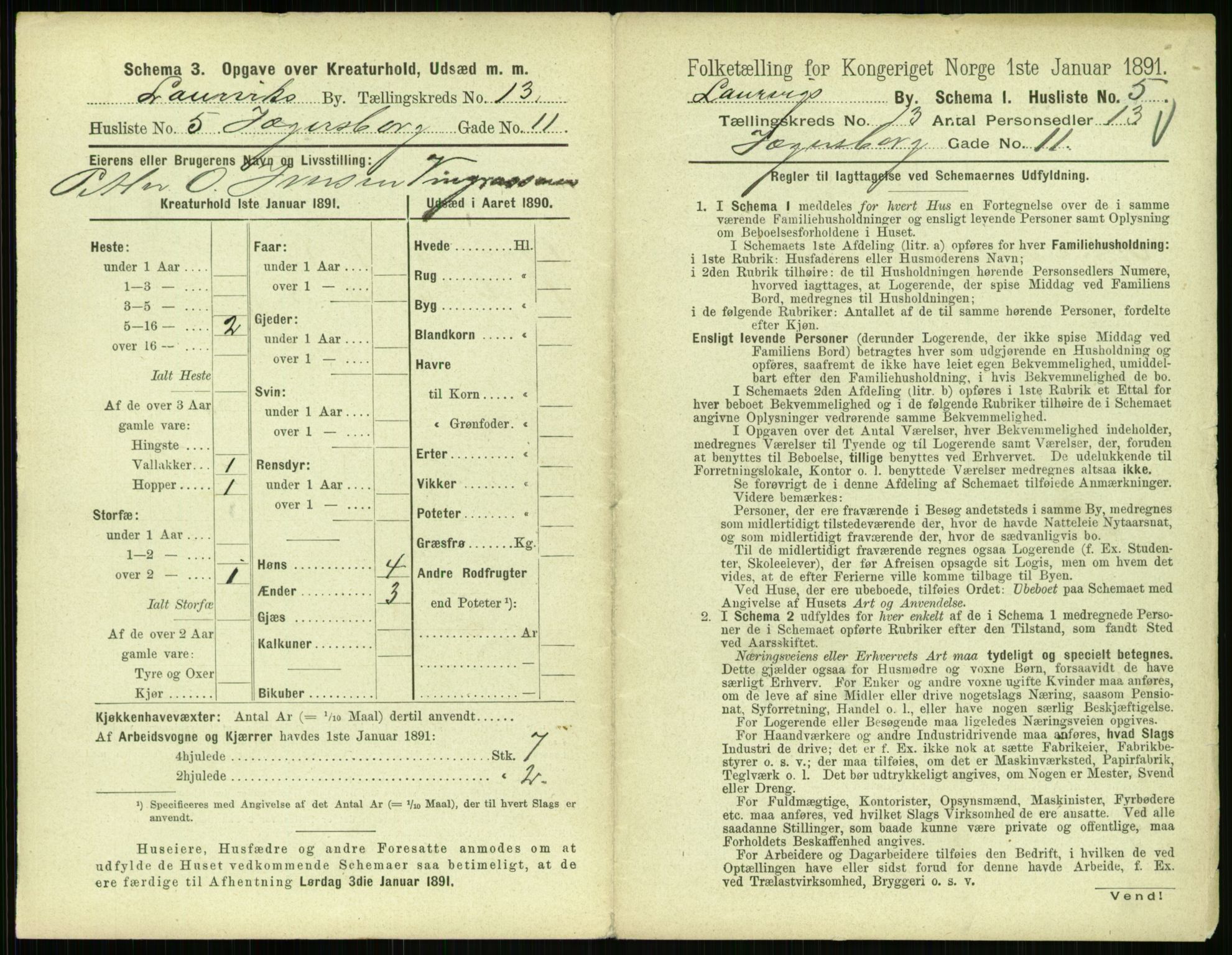 RA, 1891 census for 0707 Larvik, 1891, p. 1517