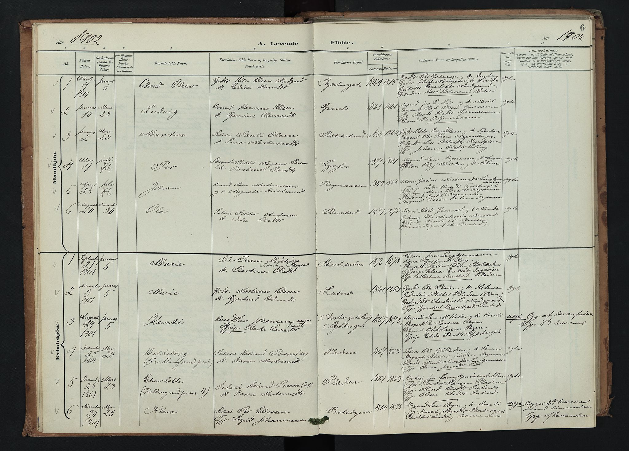 Trysil prestekontor, AV/SAH-PREST-046/H/Ha/Hab/L0008: Parish register (copy) no. 8, 1900-1950, p. 6