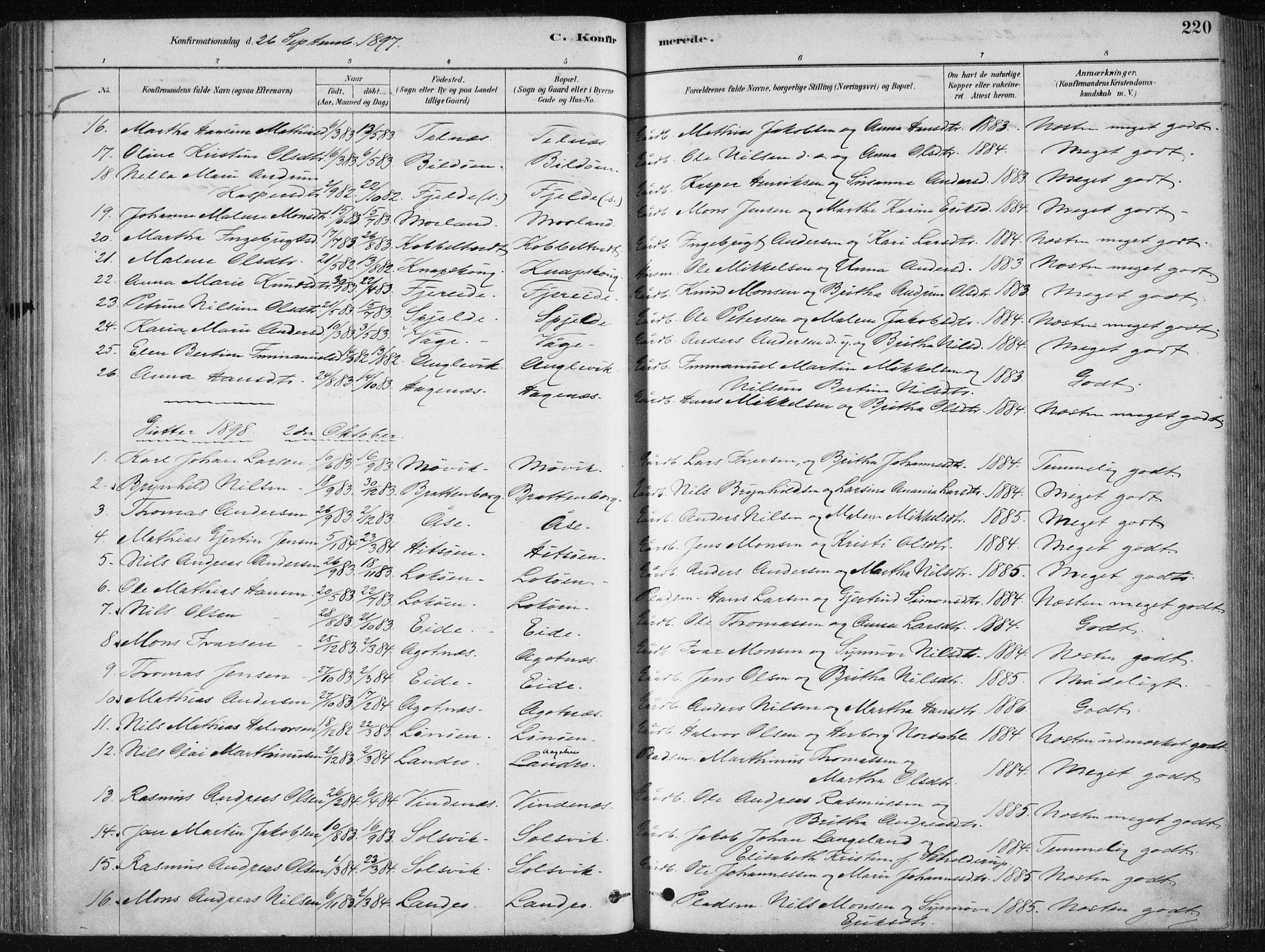 Fjell sokneprestembete, SAB/A-75301/H/Haa: Parish register (official) no. A  8, 1878-1898, p. 220