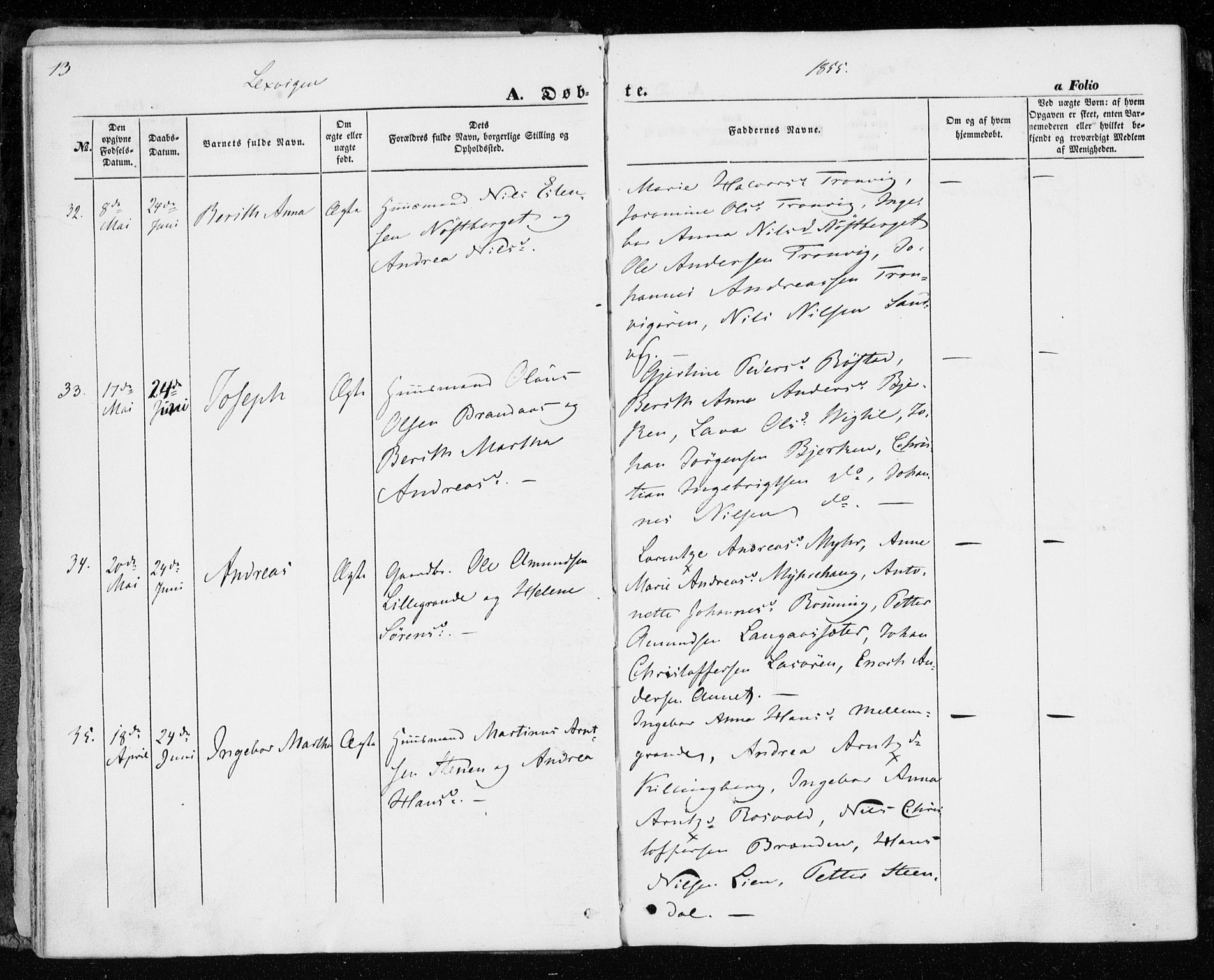 Ministerialprotokoller, klokkerbøker og fødselsregistre - Nord-Trøndelag, SAT/A-1458/701/L0008: Parish register (official) no. 701A08 /1, 1854-1863, p. 13