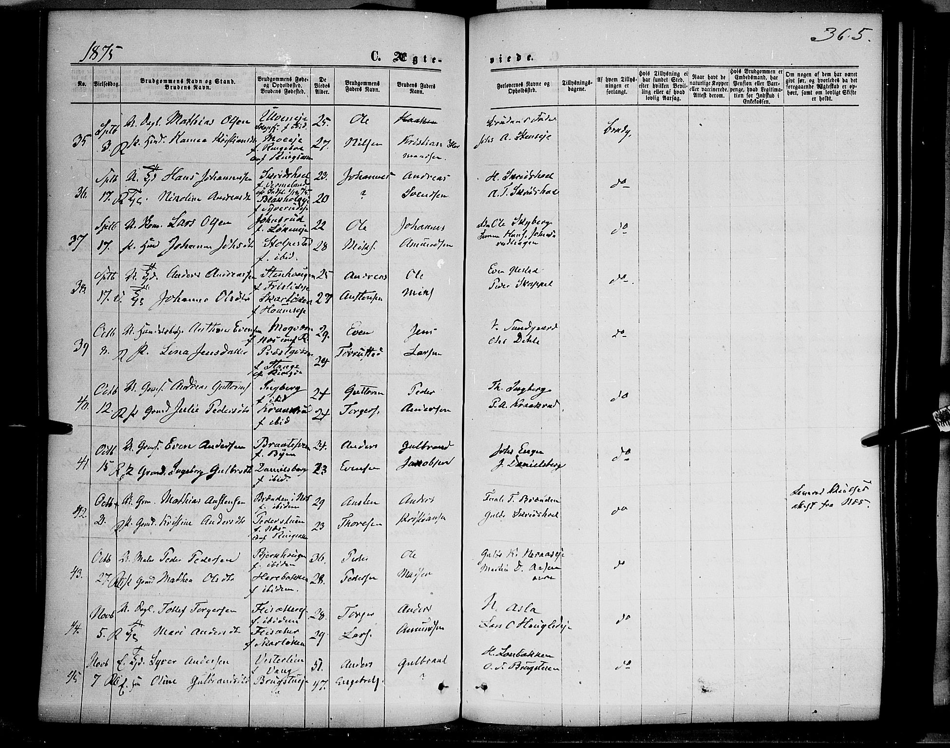 Ringsaker prestekontor, AV/SAH-PREST-014/K/Ka/L0011: Parish register (official) no. 11, 1870-1878, p. 365