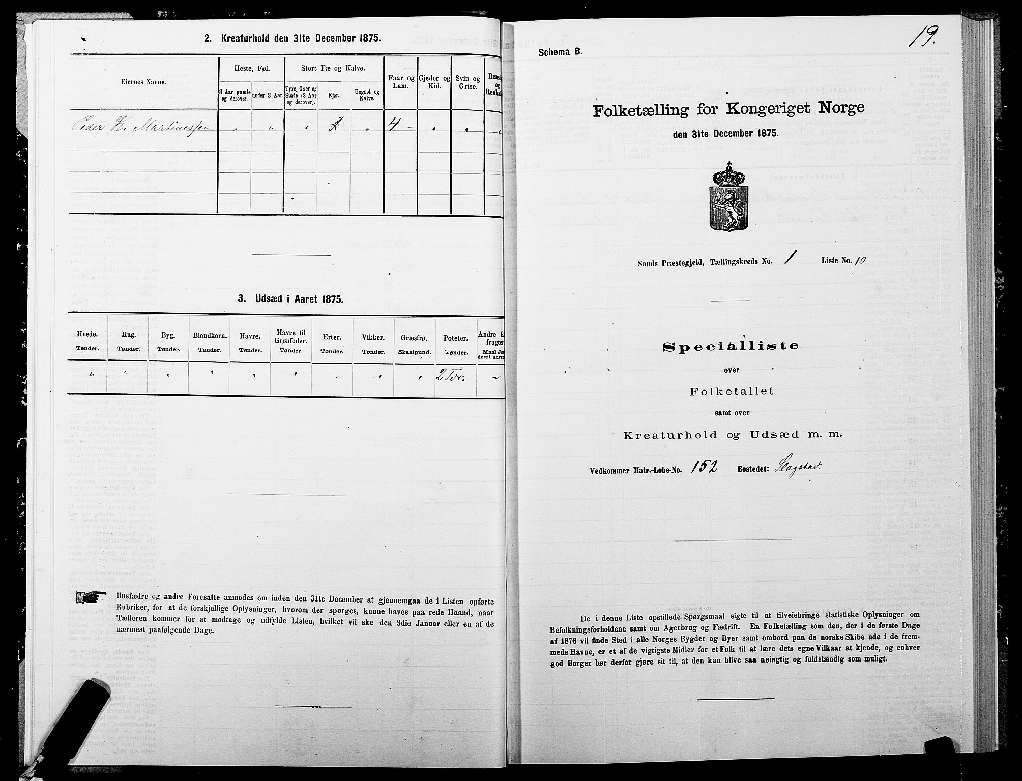 SATØ, 1875 census for 1915P Sand, 1875, p. 1019