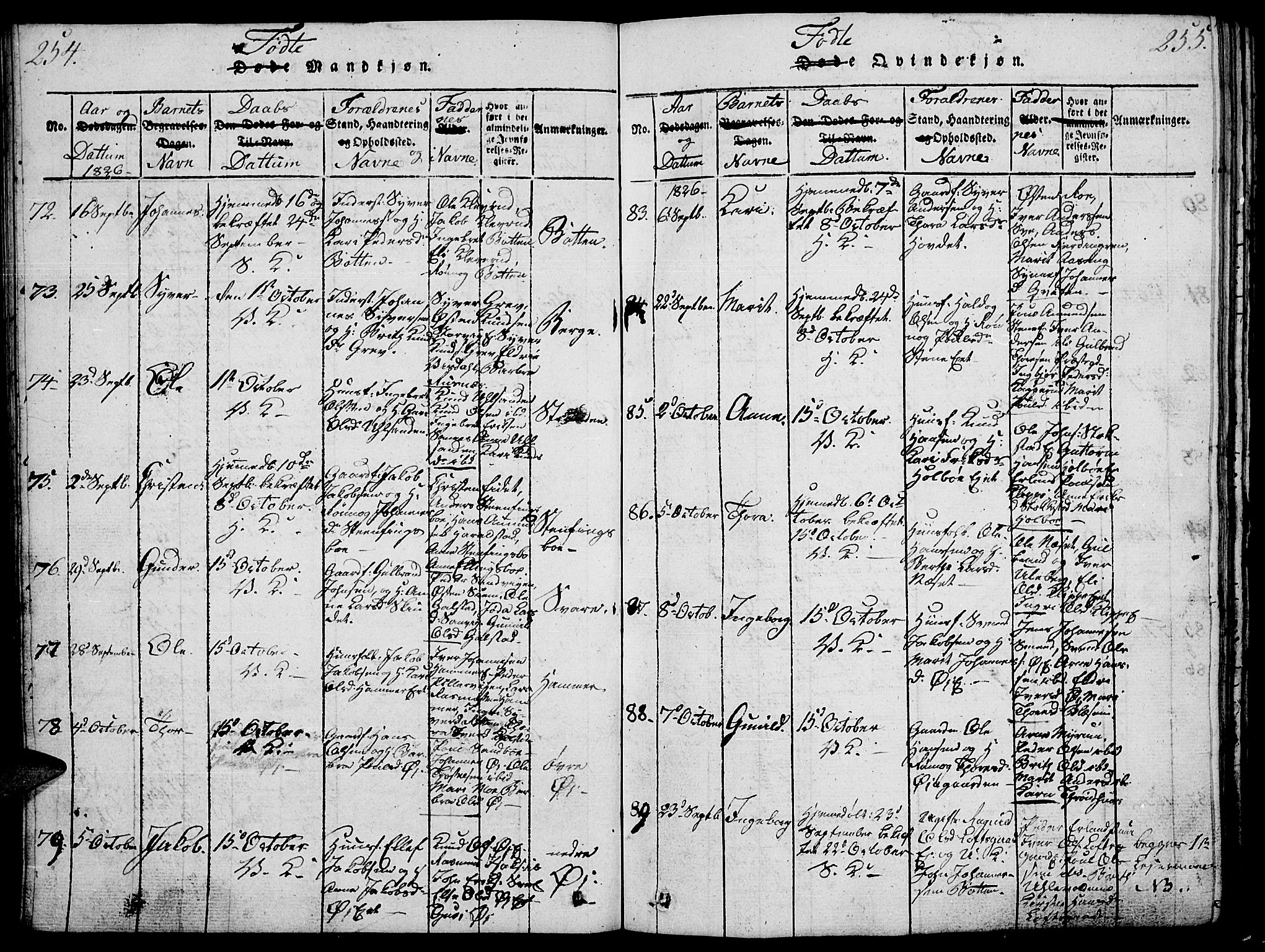 Vågå prestekontor, AV/SAH-PREST-076/H/Ha/Haa/L0003: Parish register (official) no. 3, 1815-1827, p. 254-255