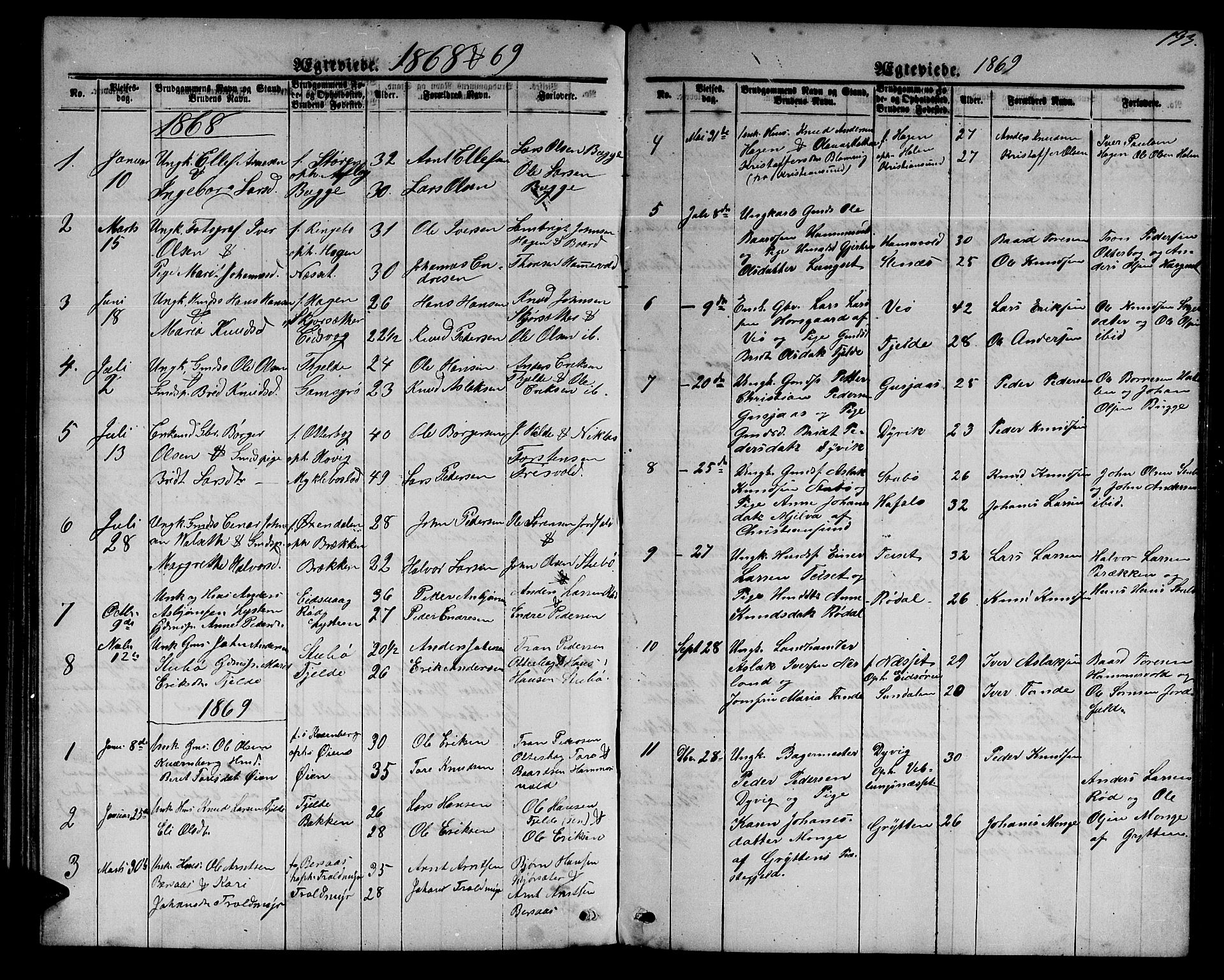 Ministerialprotokoller, klokkerbøker og fødselsregistre - Møre og Romsdal, SAT/A-1454/551/L0630: Parish register (copy) no. 551C02, 1867-1885, p. 193