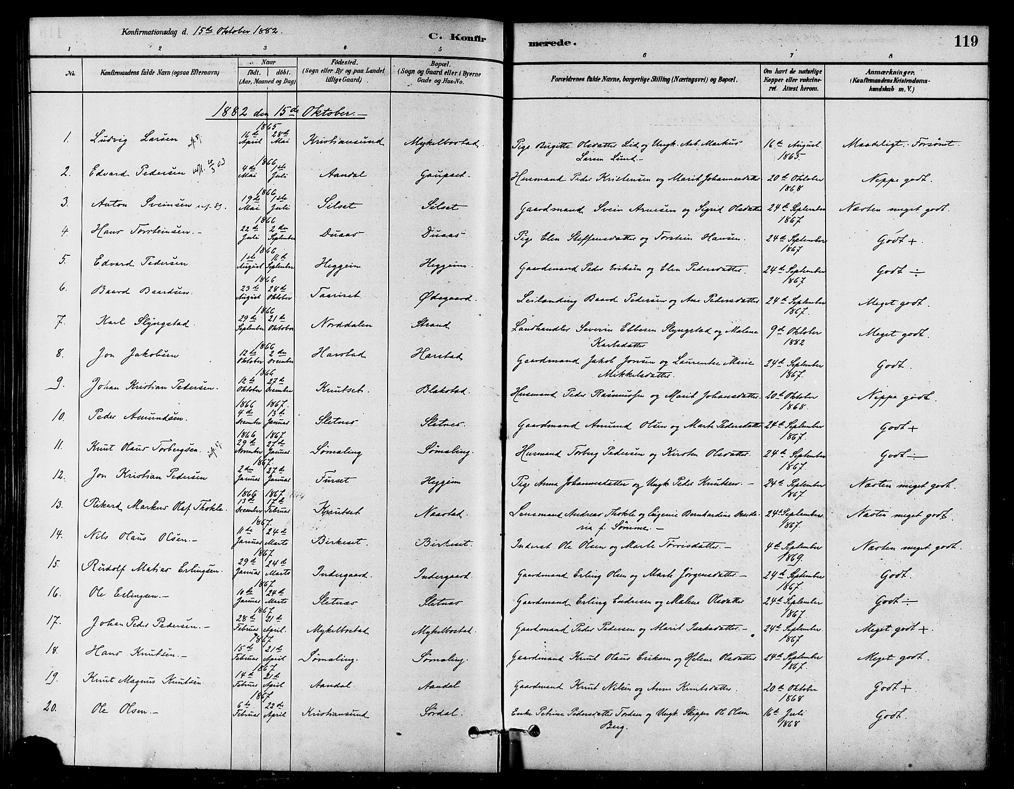 Ministerialprotokoller, klokkerbøker og fødselsregistre - Møre og Romsdal, SAT/A-1454/584/L0967: Parish register (official) no. 584A07, 1879-1894, p. 119