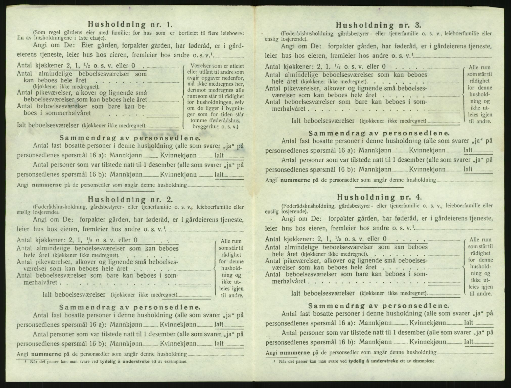 SAKO, 1920 census for Brunlanes, 1920, p. 1876