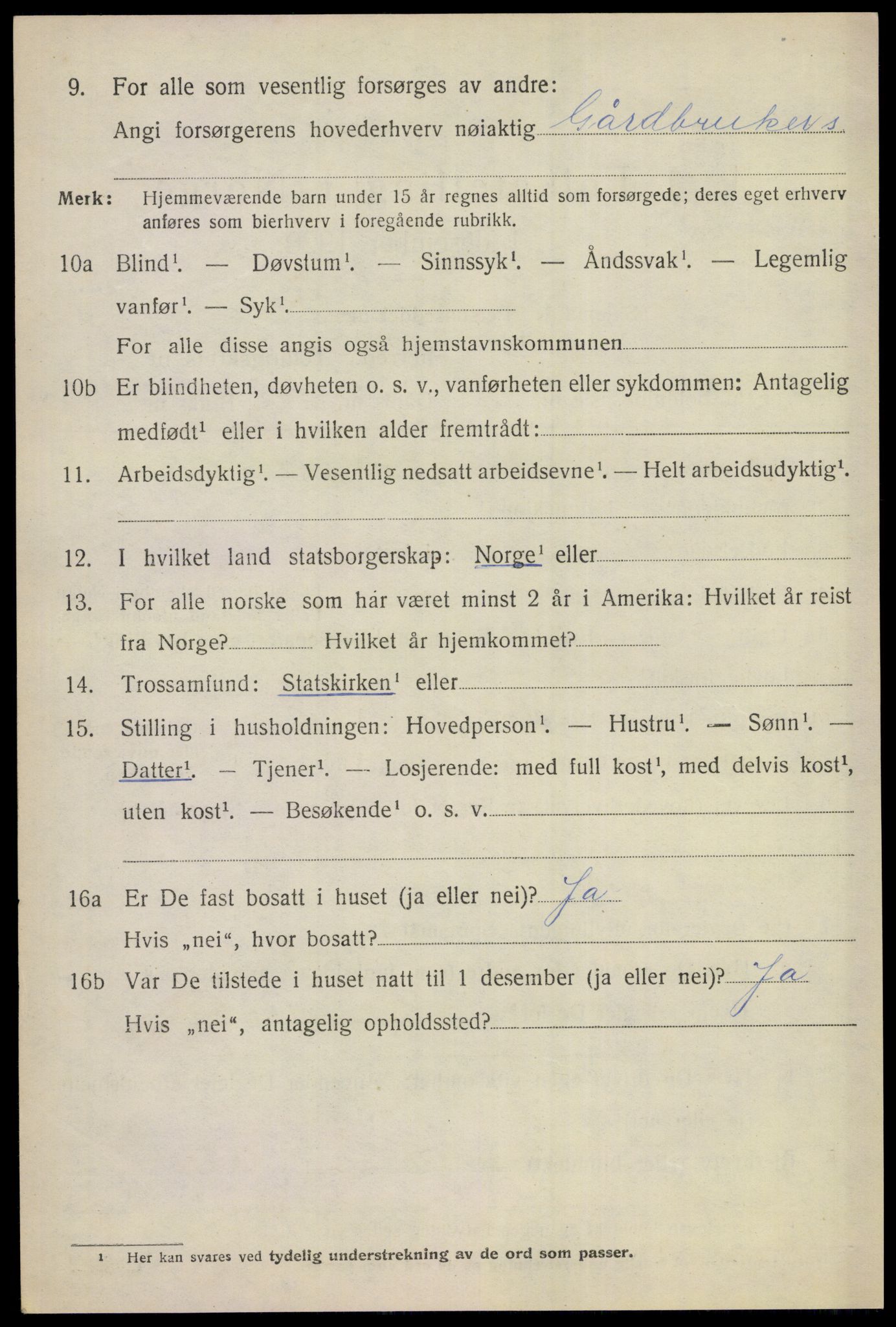 SAKO, 1920 census for Gol, 1920, p. 2173