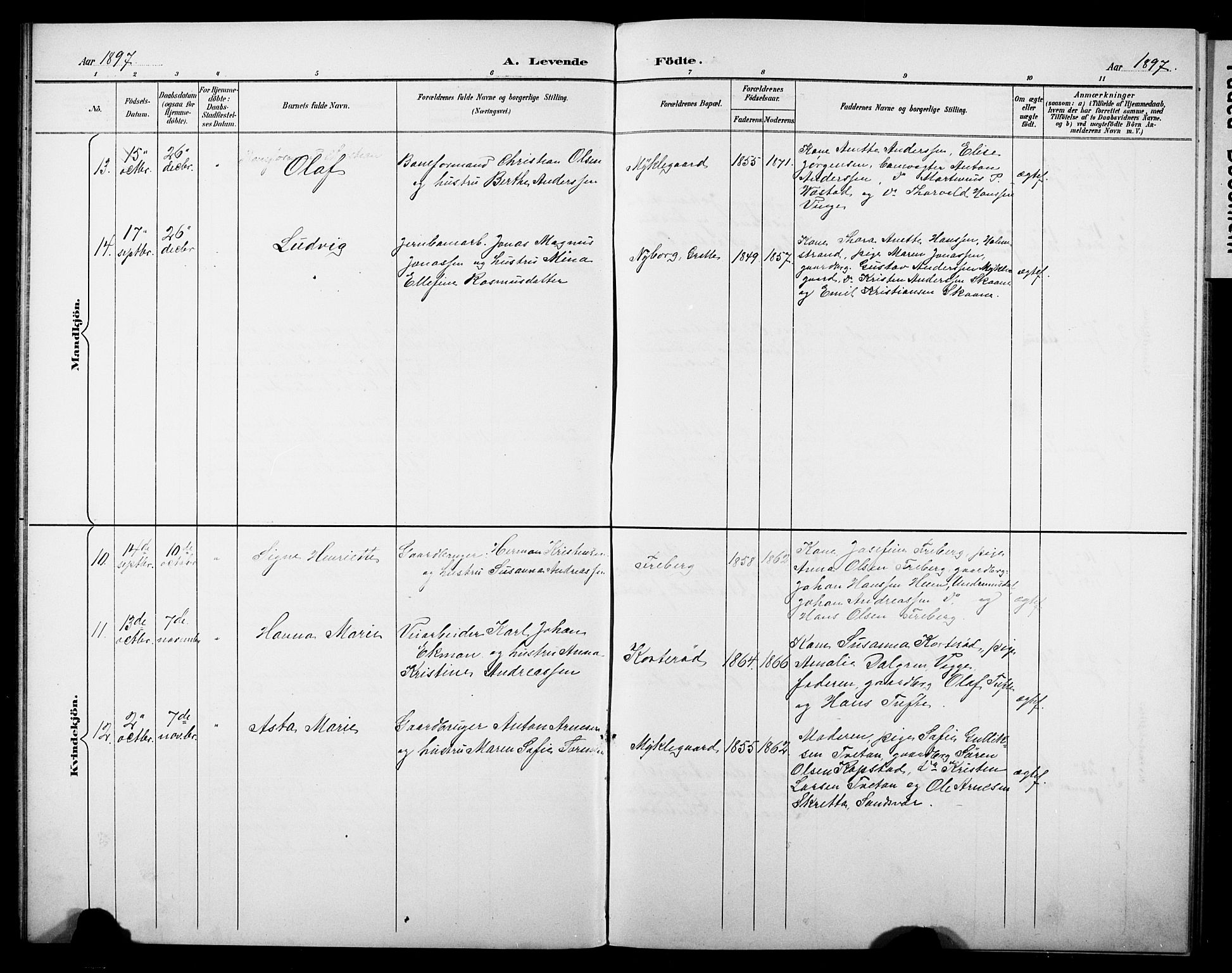 Borre kirkebøker, AV/SAKO-A-338/G/Gb/L0003: Parish register (copy) no. II 3, 1893-1905