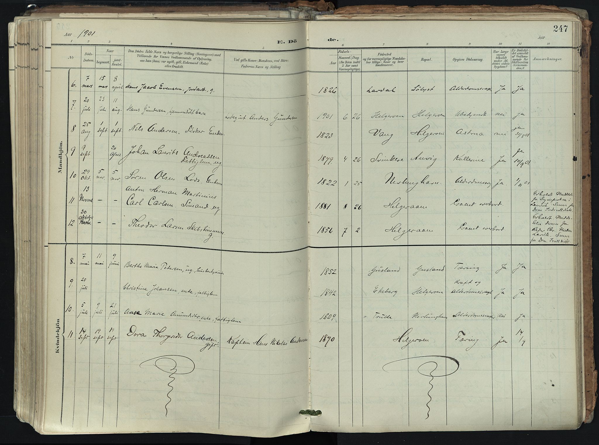 Brunlanes kirkebøker, AV/SAKO-A-342/F/Fb/L0003: Parish register (official) no. II 3, 1900-1922, p. 247