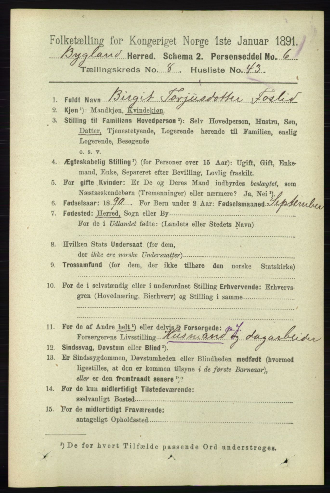 RA, 1891 census for 0938 Bygland, 1891, p. 2183