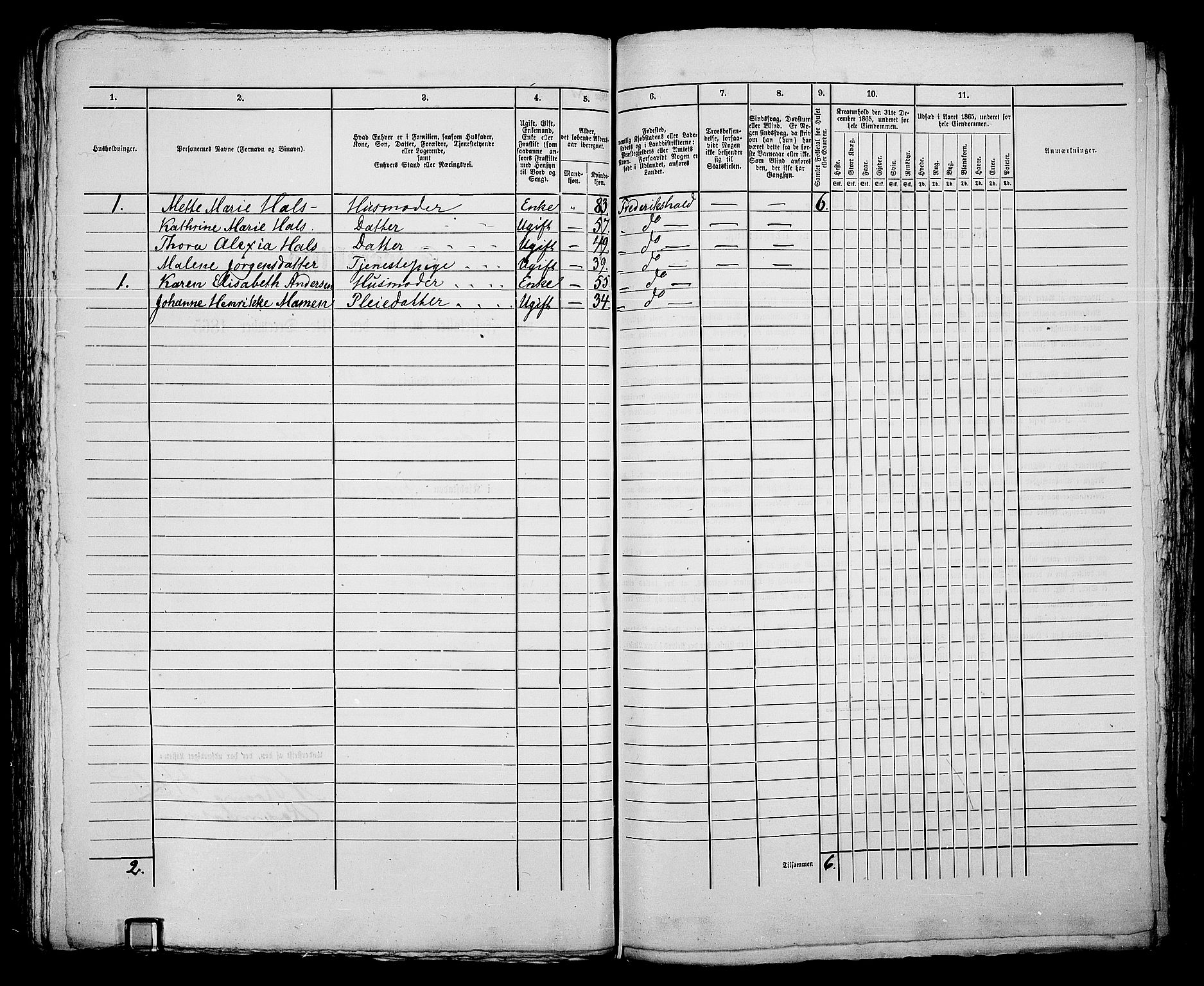 RA, 1865 census for Fredrikshald, 1865, p. 298