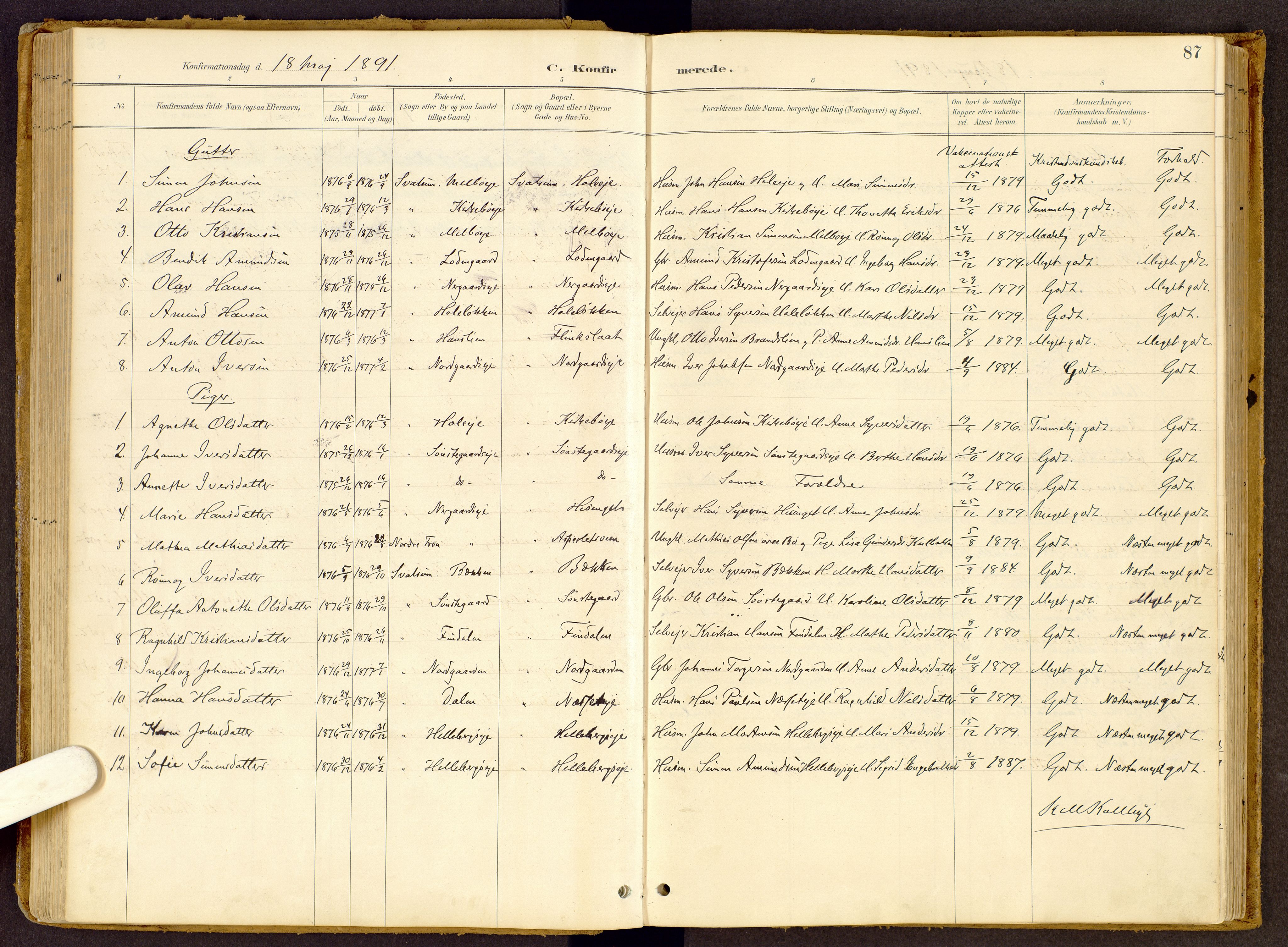 Vestre Gausdal prestekontor, SAH/PREST-094/H/Ha/Haa/L0002: Parish register (official) no. 2, 1887-1918, p. 87
