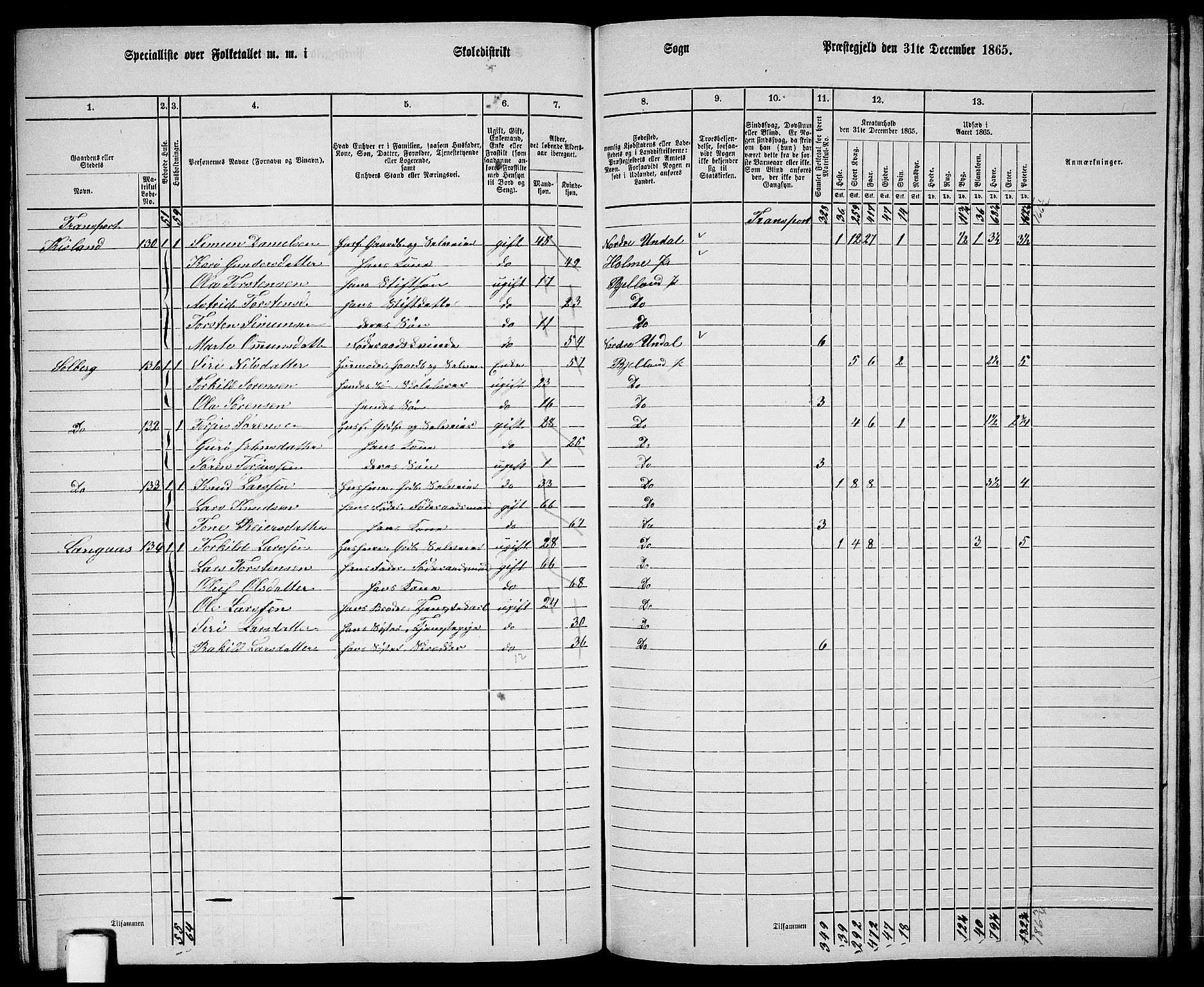 RA, 1865 census for Bjelland, 1865, p. 95