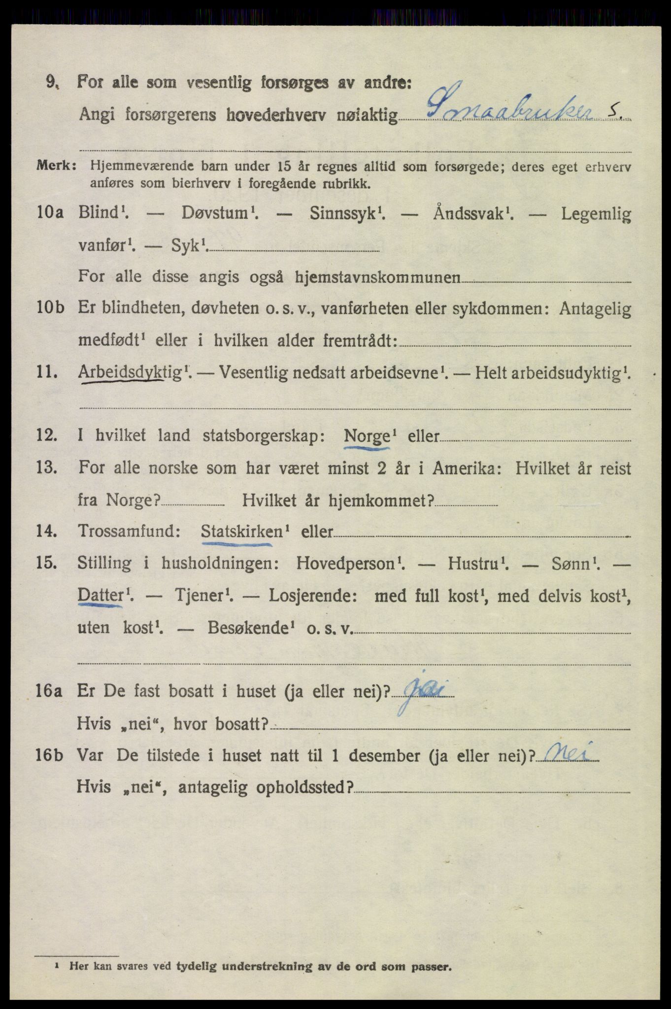 SAH, 1920 census for Hof, 1920, p. 1454