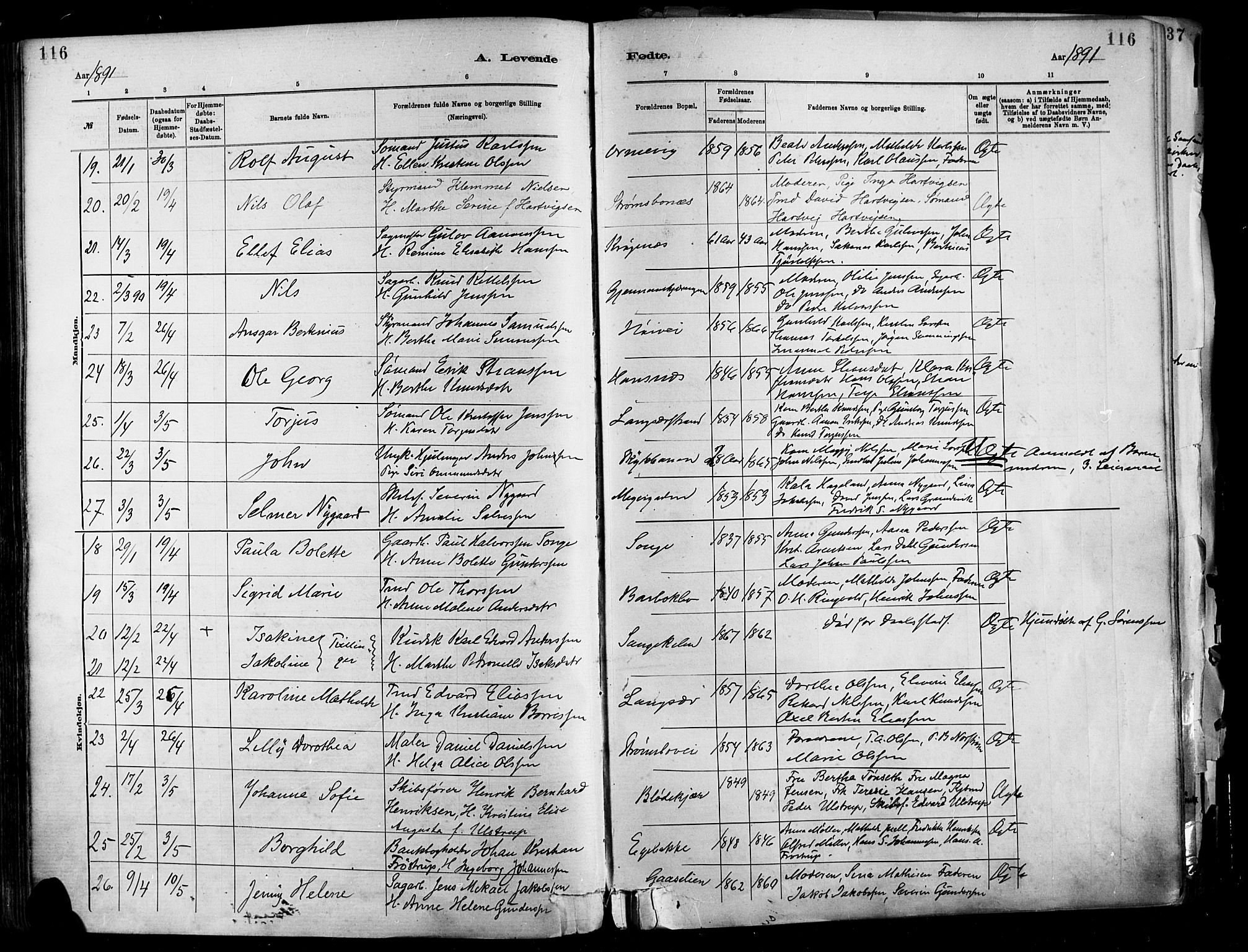 Barbu sokneprestkontor, AV/SAK-1111-0003/F/Fa/L0002: Parish register (official) no. A 2, 1883-1898, p. 116