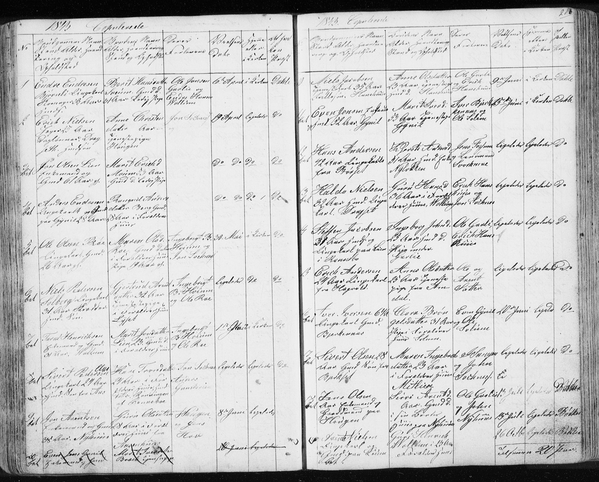 Ministerialprotokoller, klokkerbøker og fødselsregistre - Sør-Trøndelag, SAT/A-1456/689/L1043: Parish register (copy) no. 689C02, 1816-1892, p. 216